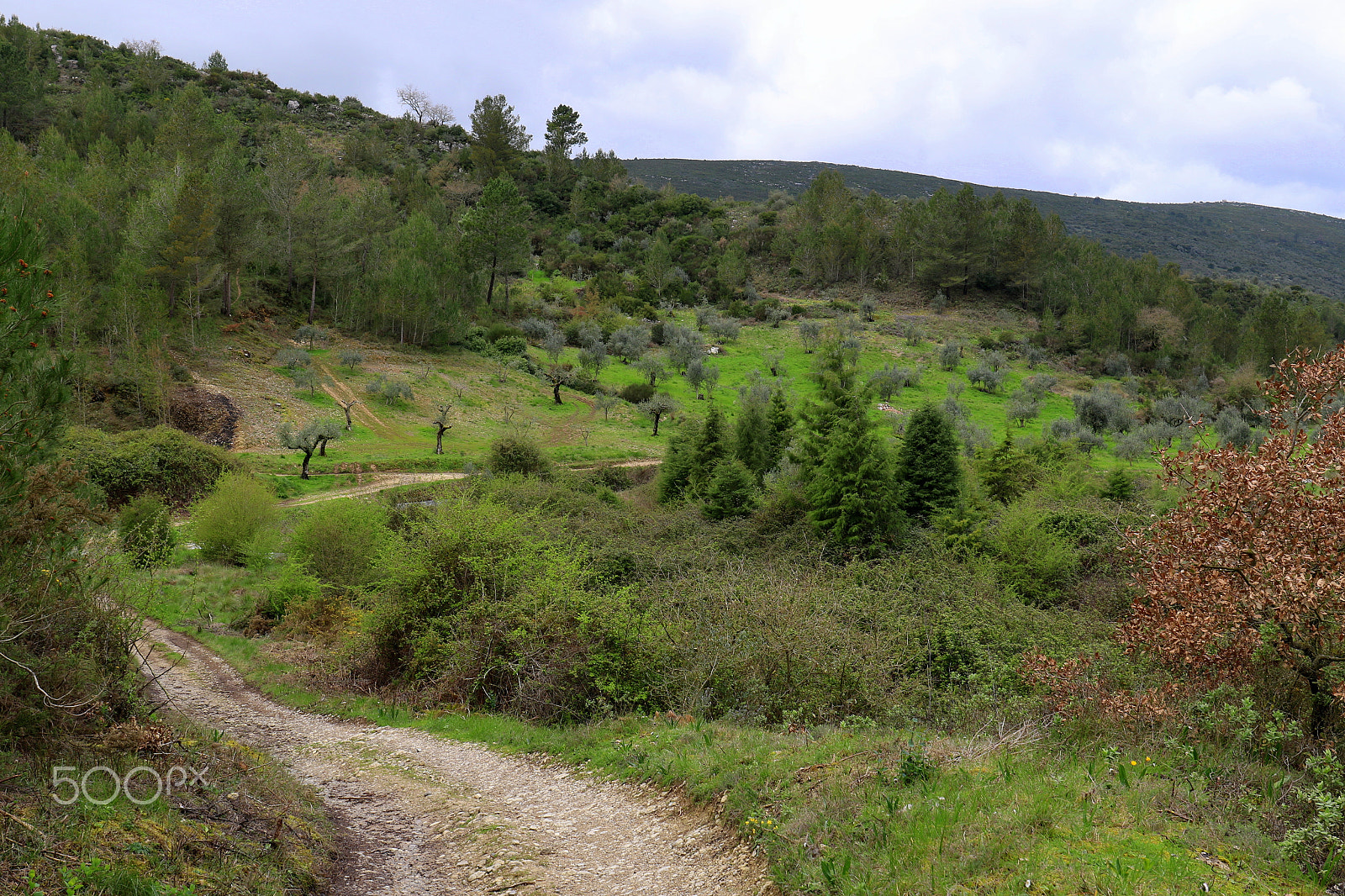 Canon EF 24-70mm F4L IS USM sample photo. Hiking photography