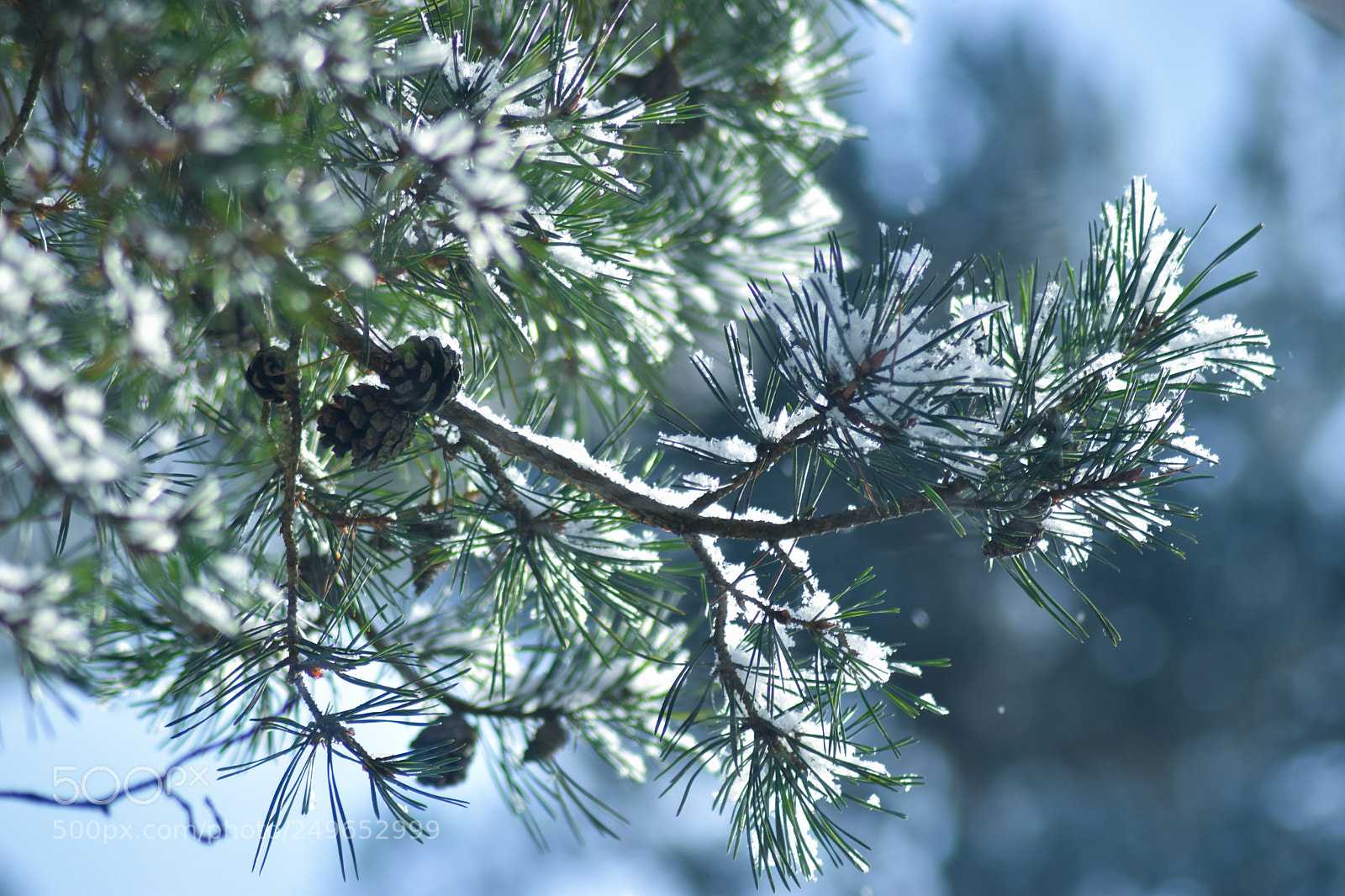 Nikon D5500 sample photo. Untitled photography
