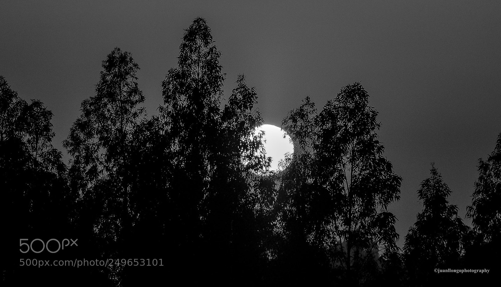 Olympus OM-D E-M10 II sample photo. Atardecer blanco y negro-sunset photography