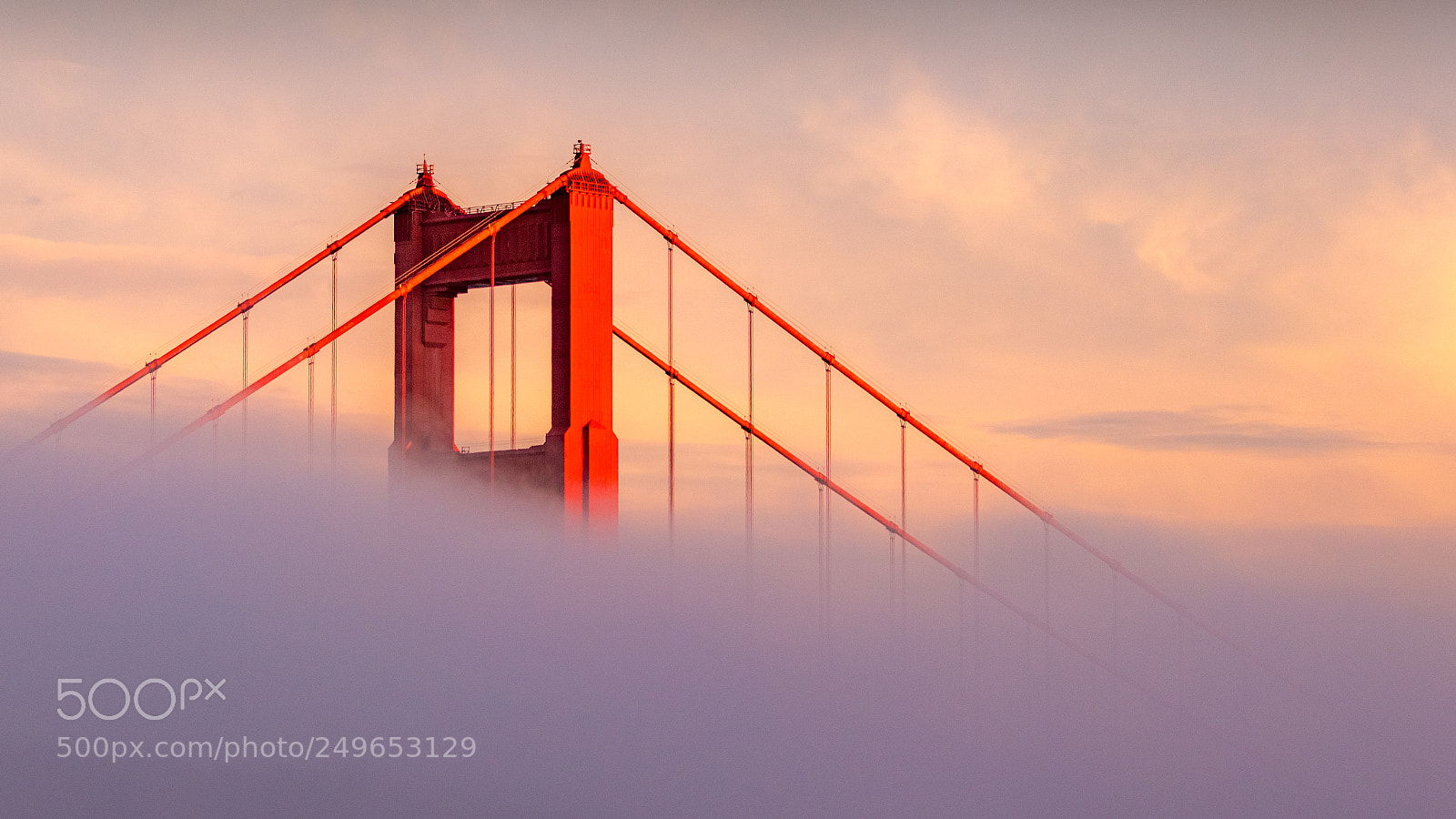 Canon EOS 80D sample photo. Golden gate bridge in photography