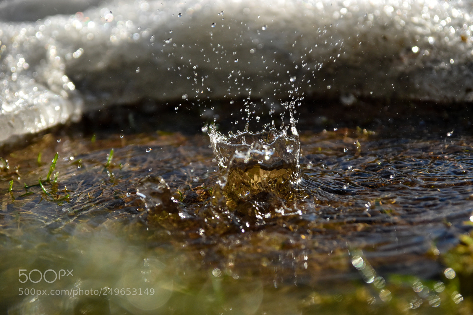 Nikon D5500 sample photo. Splash photography