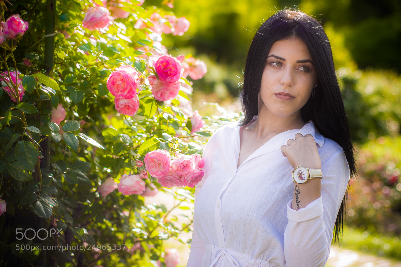 Nikon D7200 sample photo. Dsc photography