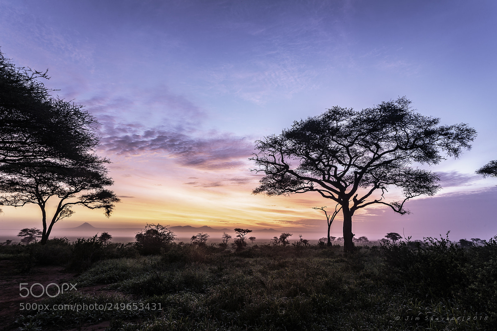 Canon EOS-1D X sample photo. Tarangire sunrise photography