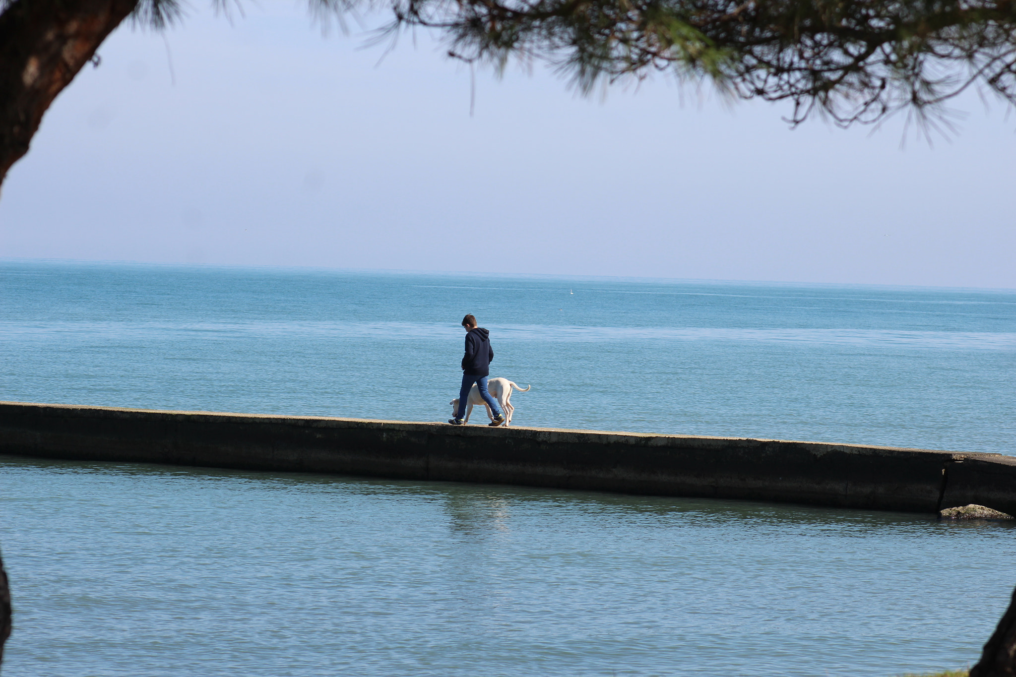Canon EF 75-300mm f/4-5.6 sample photo. Dost photography