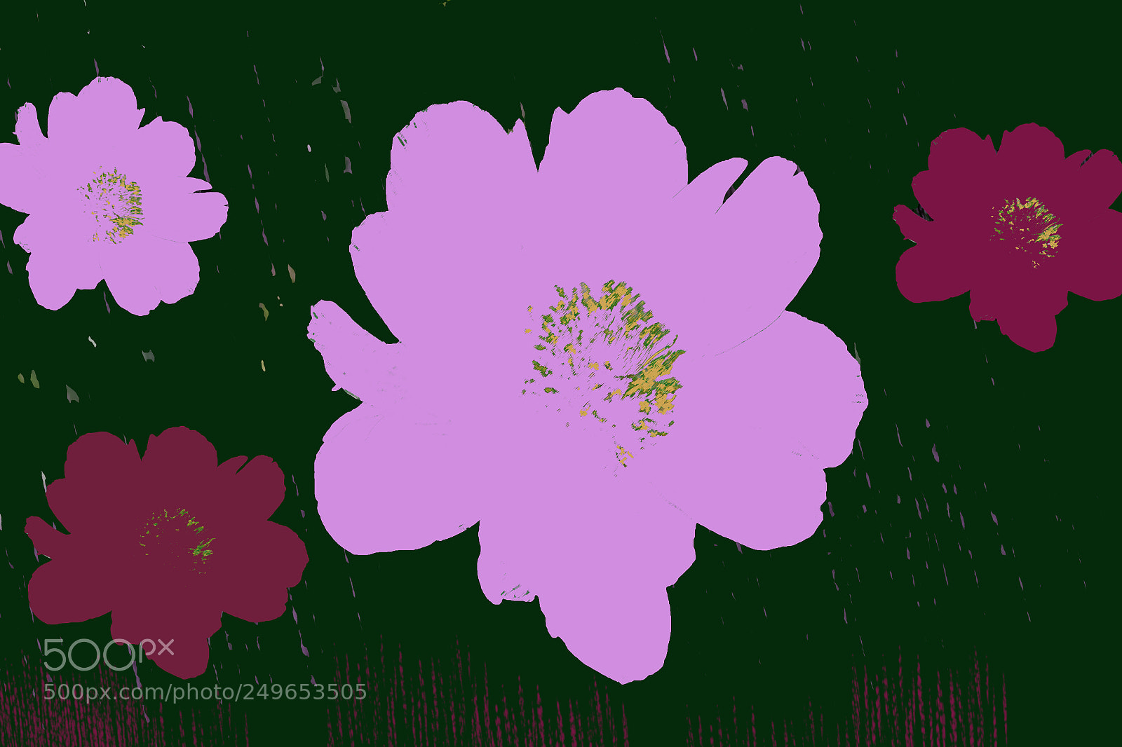 Canon EOS 70D sample photo. Pink and fushia flowers photography