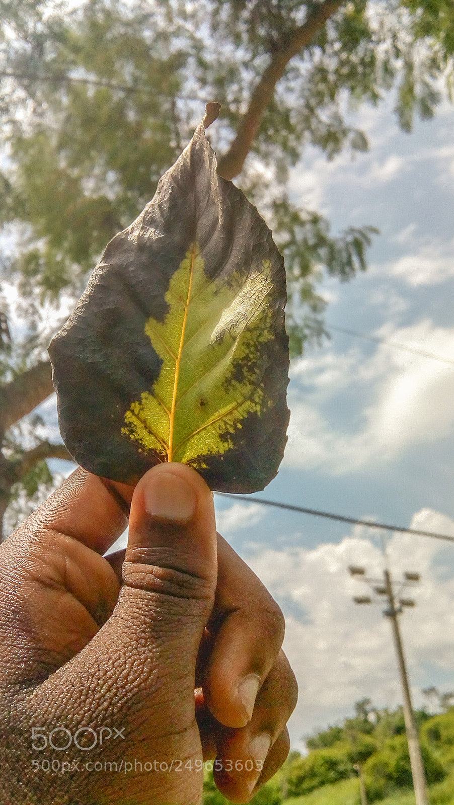 Motorola Moto E4 sample photo. Untitled photography
