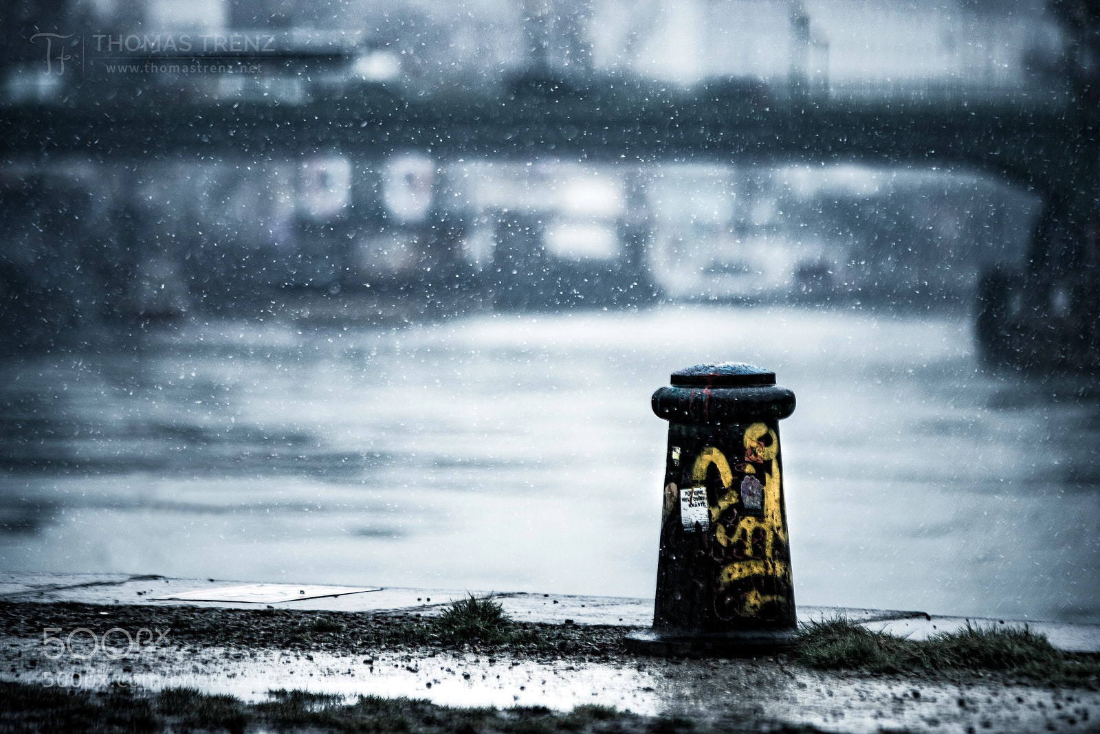 Nikon D600 sample photo. Snowy day photography