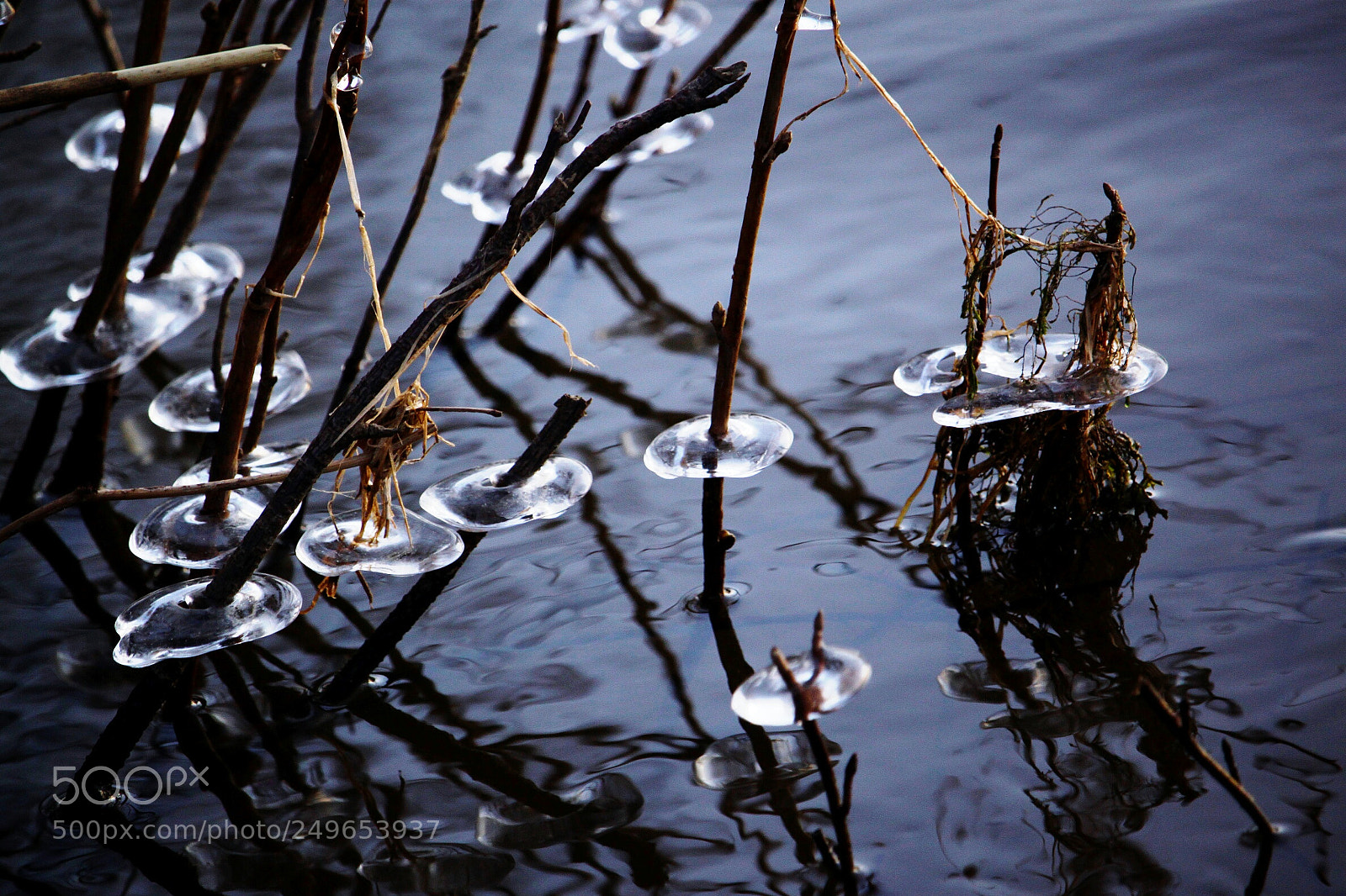 Canon EOS 500D (EOS Rebel T1i / EOS Kiss X3) sample photo. Ice art photography
