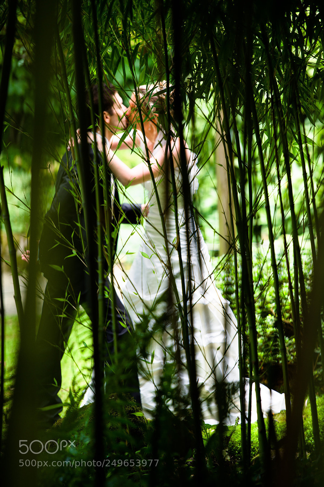 Nikon D4 sample photo. Kiss forest photography