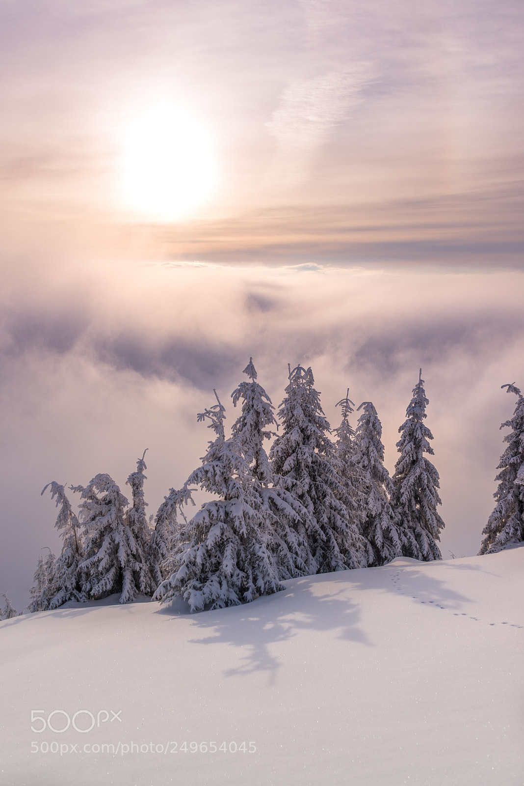 Nikon D610 sample photo. Winter sunrise photography