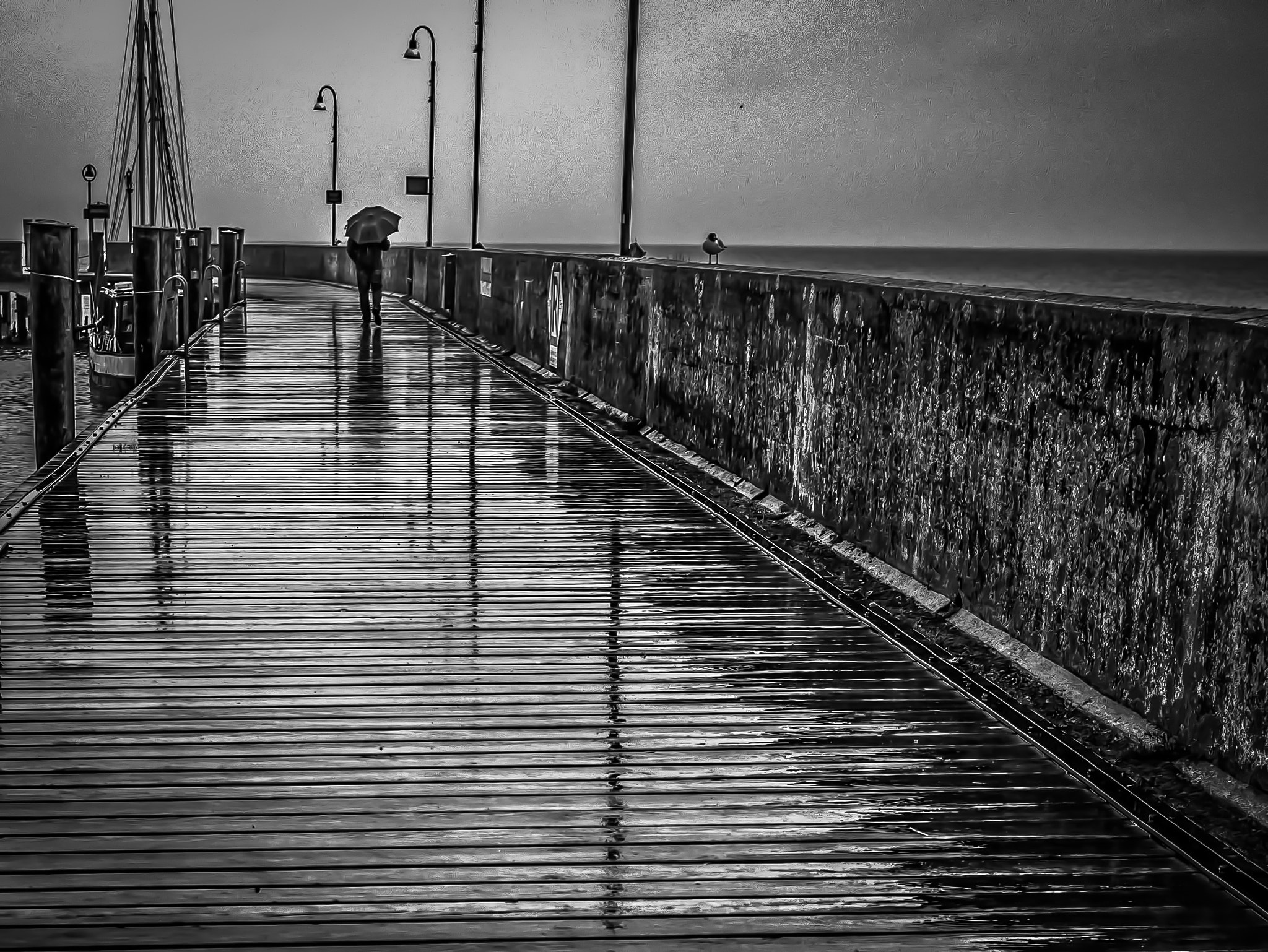 Panasonic Lumix DMC-GF7 sample photo. Walk thru the rain photography