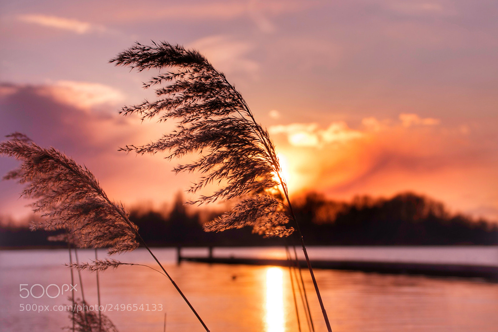 Canon EOS 77D (EOS 9000D / EOS 770D) sample photo. Simplicity  photography