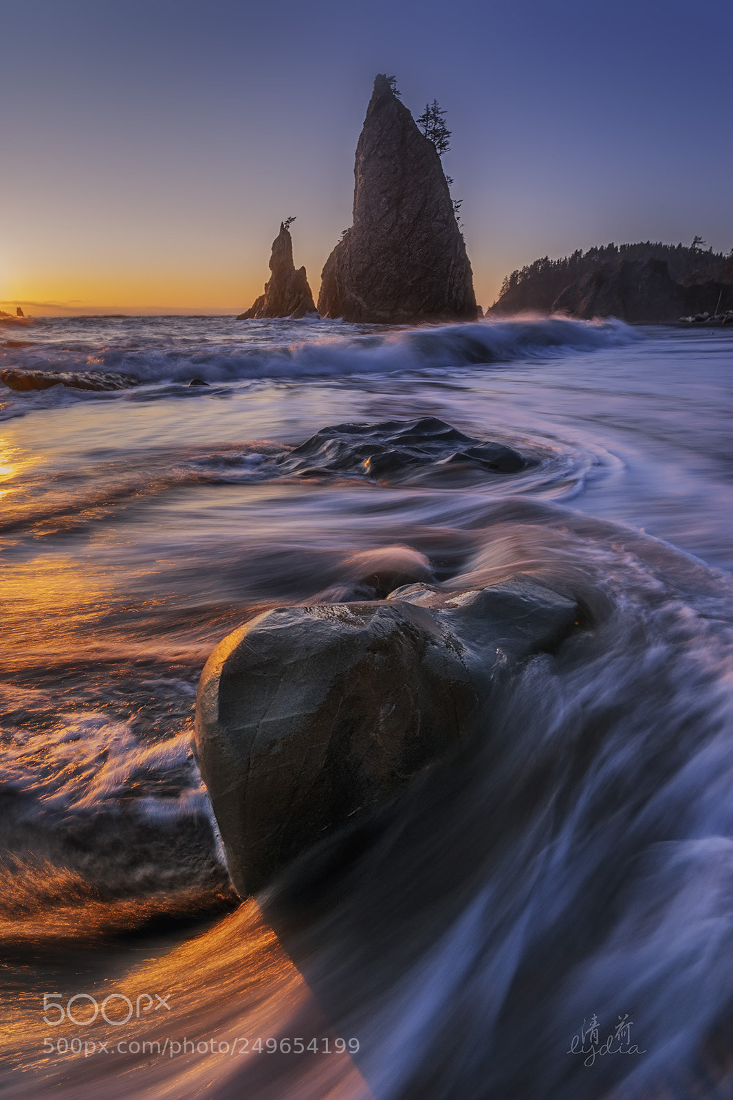 Sony a7 II sample photo. Golden light photography