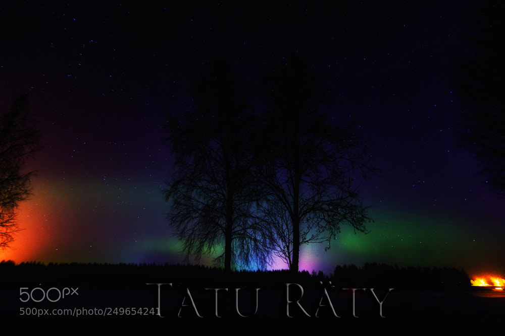 Nikon D7100 sample photo. Auroras photography