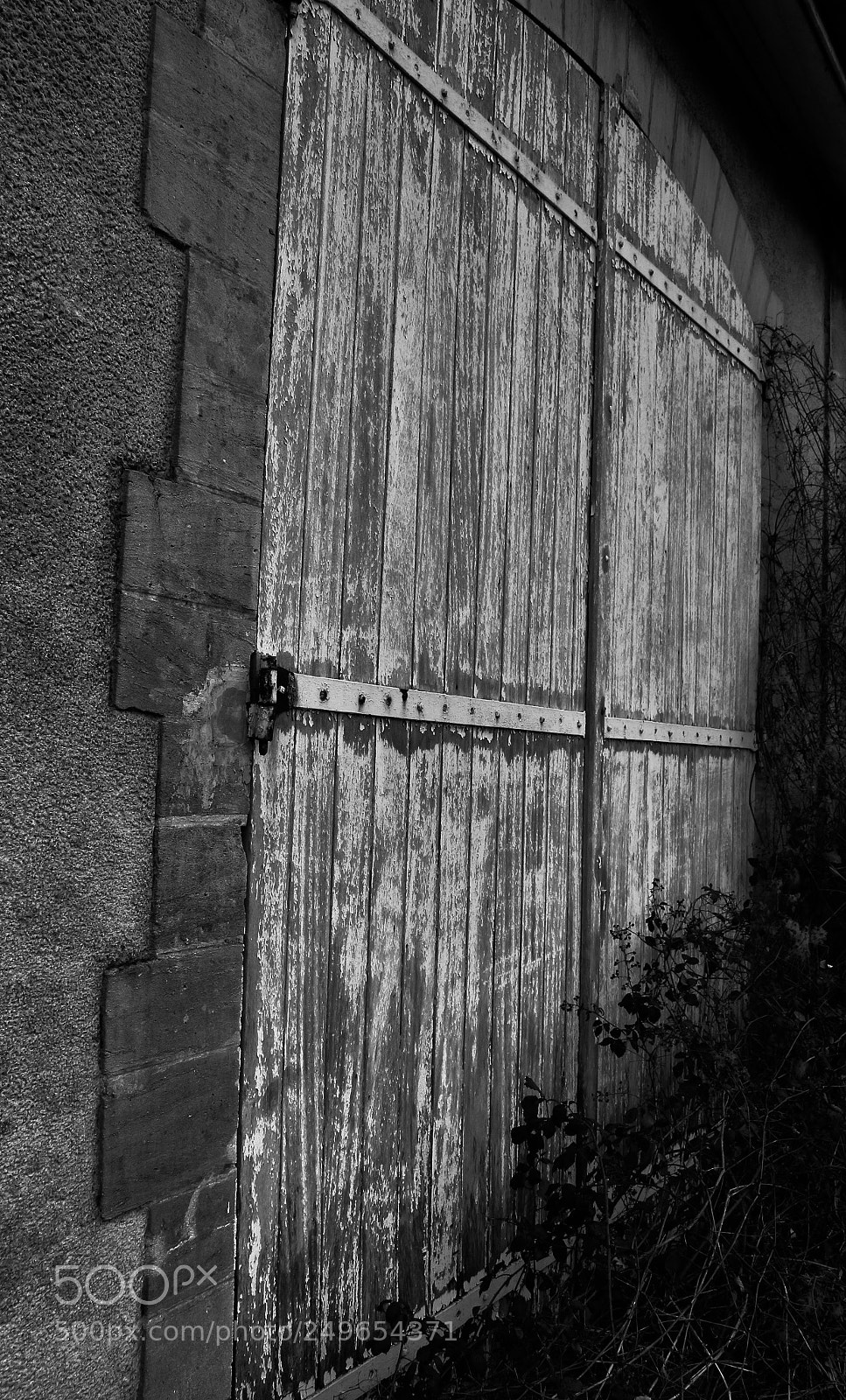 Canon EOS 100D (EOS Rebel SL1 / EOS Kiss X7) sample photo. Old wood! photography