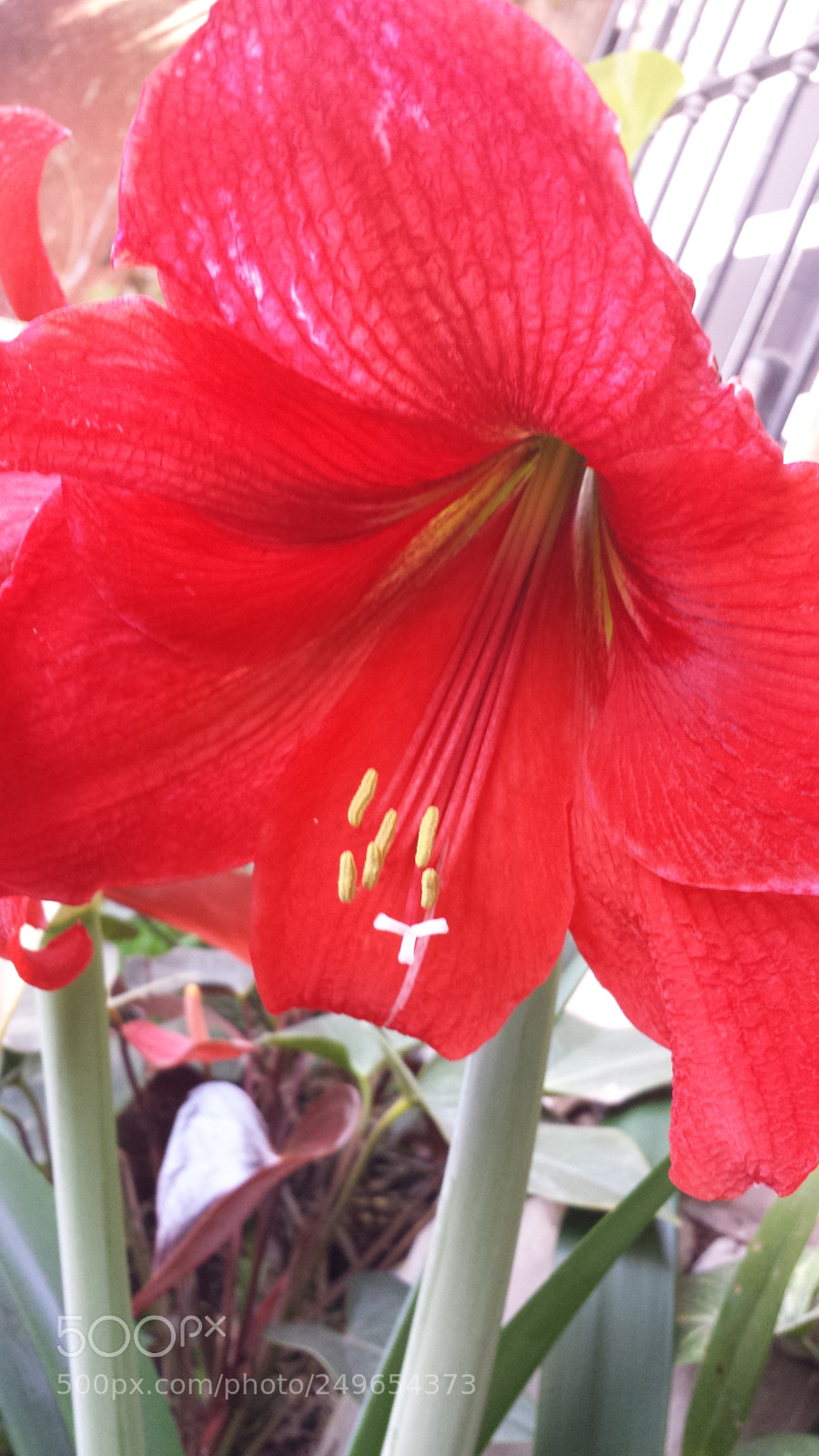 Samsung Galaxy S4 sample photo. Untitled photography