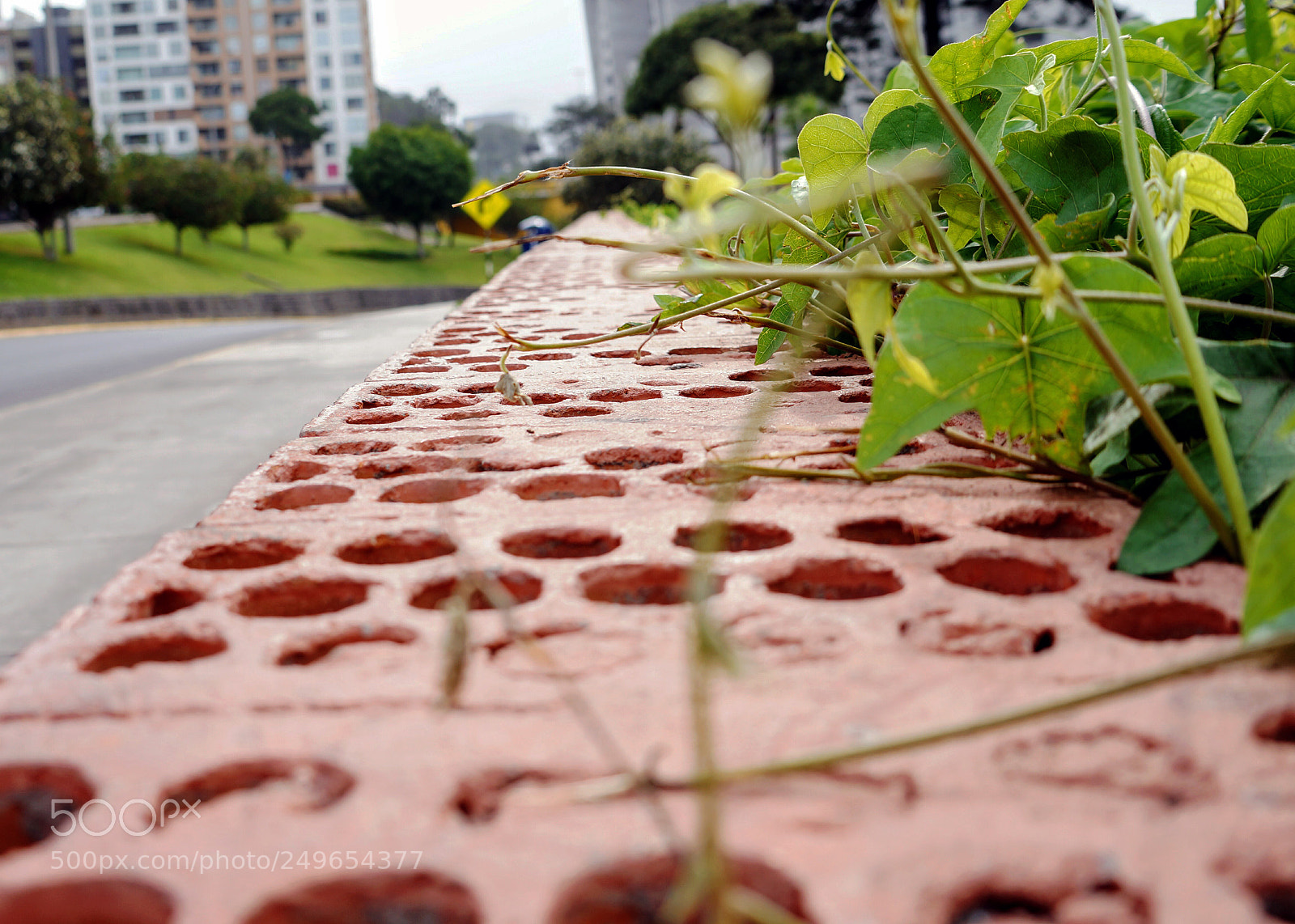 Sony Alpha a3500 sample photo. Untitled photography