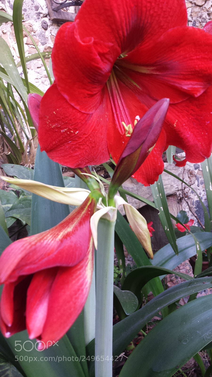 Samsung Galaxy S4 sample photo. Untitled photography