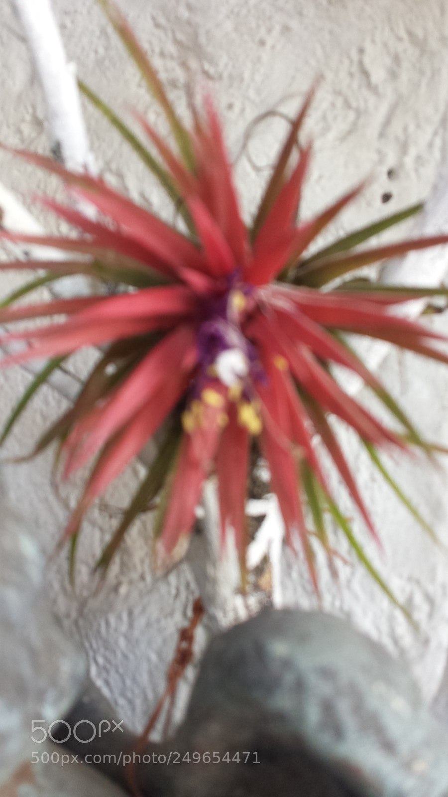 Samsung Galaxy S4 sample photo. Untitled photography