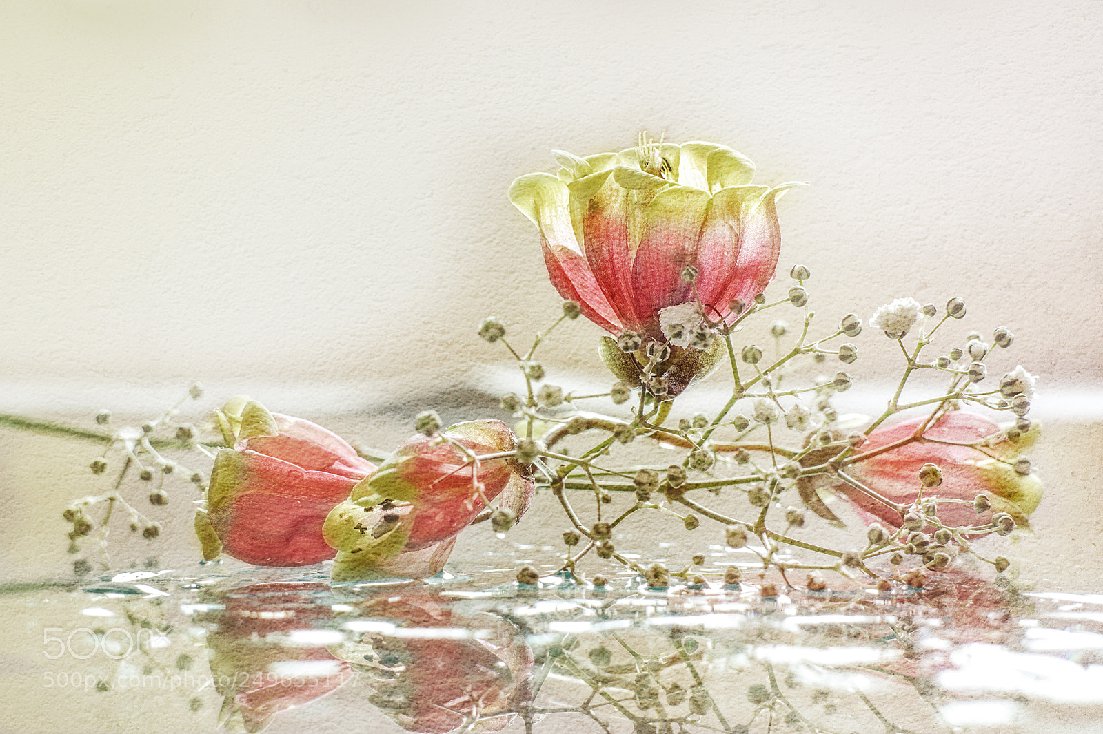 Canon EOS M sample photo. Glockenblumen photography