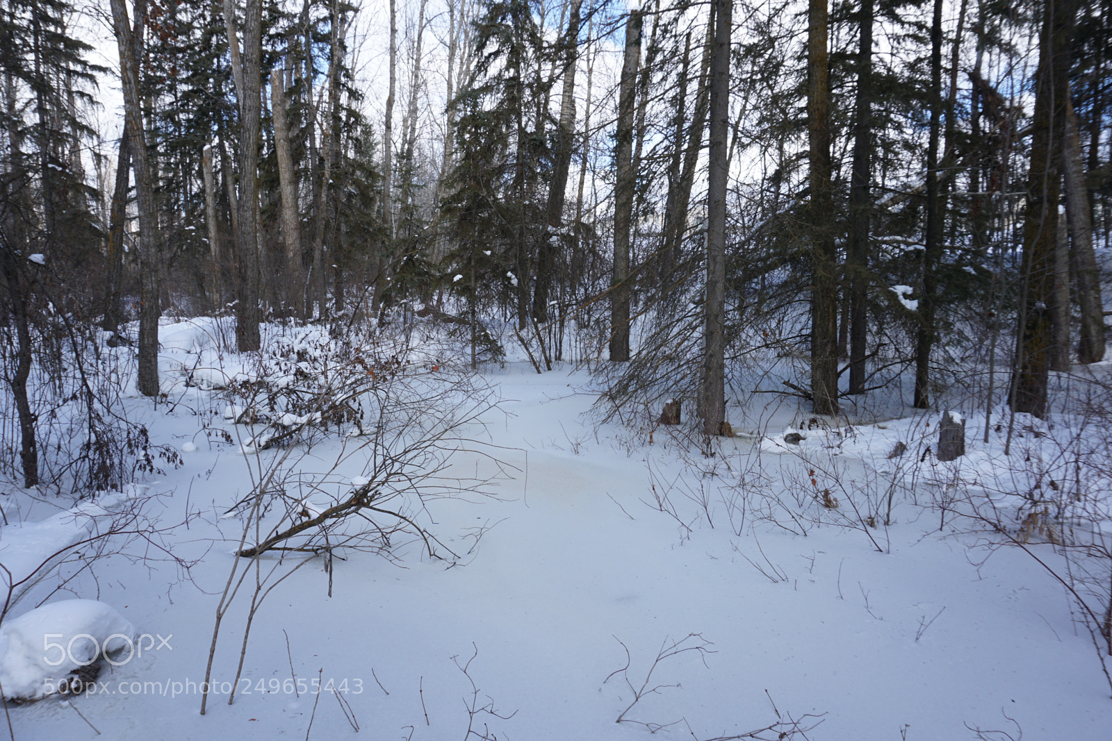 Sony a6000 sample photo. Dsc photography