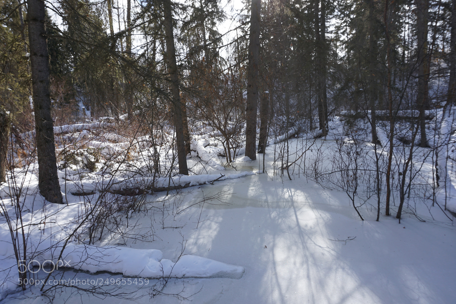 Sony a6000 sample photo. Dsc photography