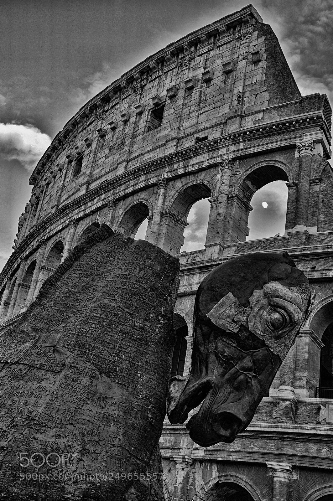 Nikon D90 sample photo. Horse at colisseum photography