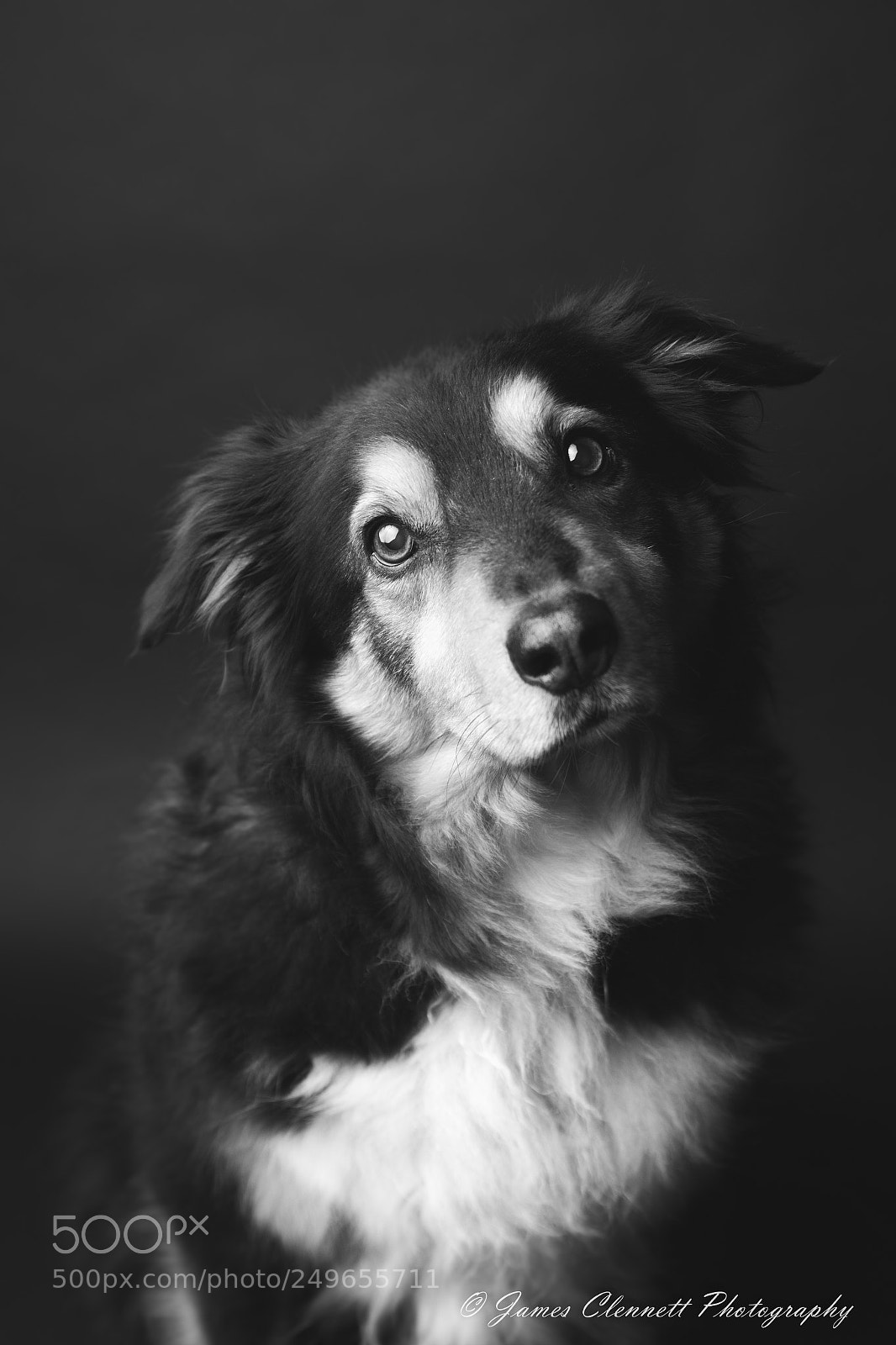 Canon EOS 7D Mark II sample photo. A quick portrait photography
