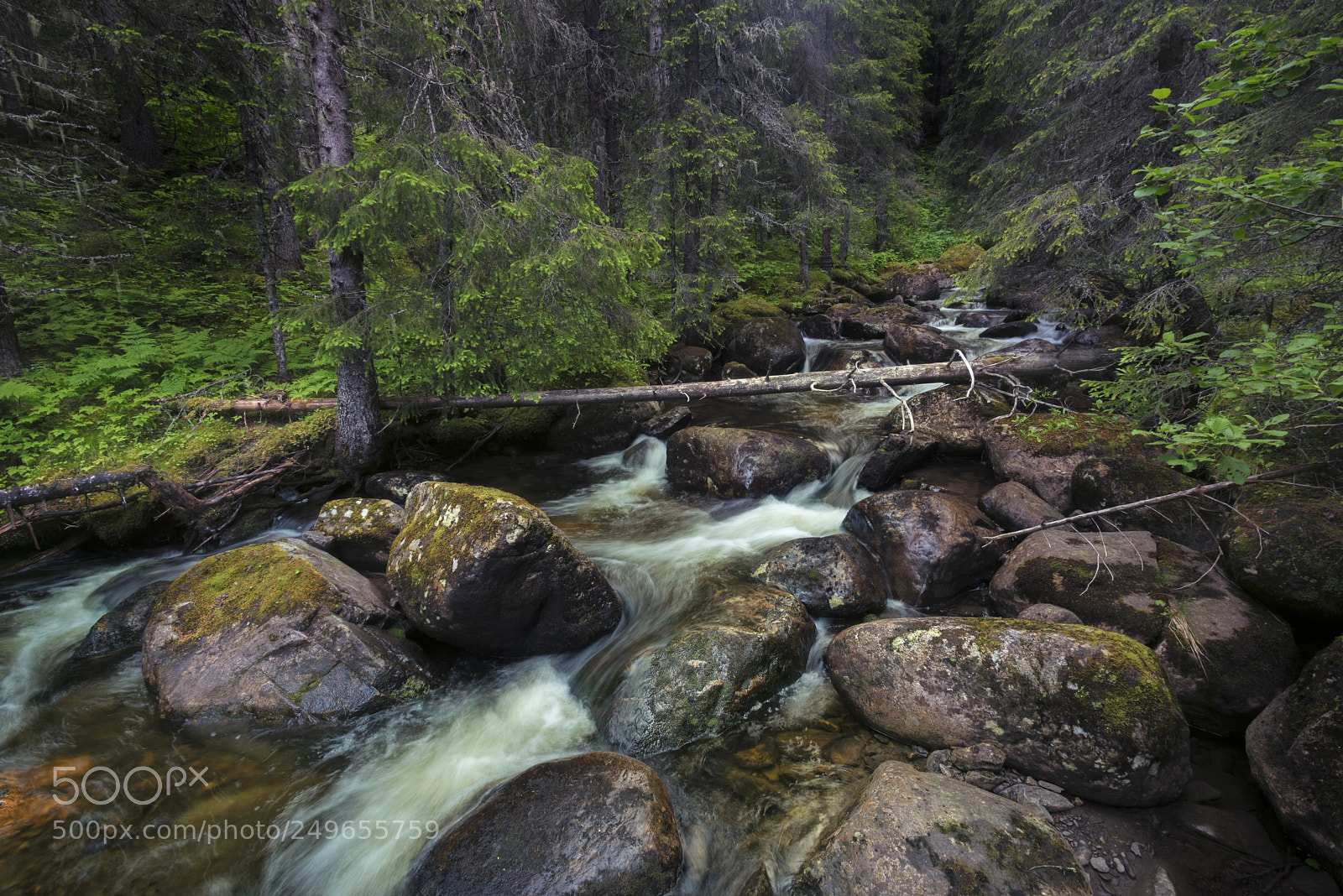 Nikon D800 sample photo. A gentle creek in photography