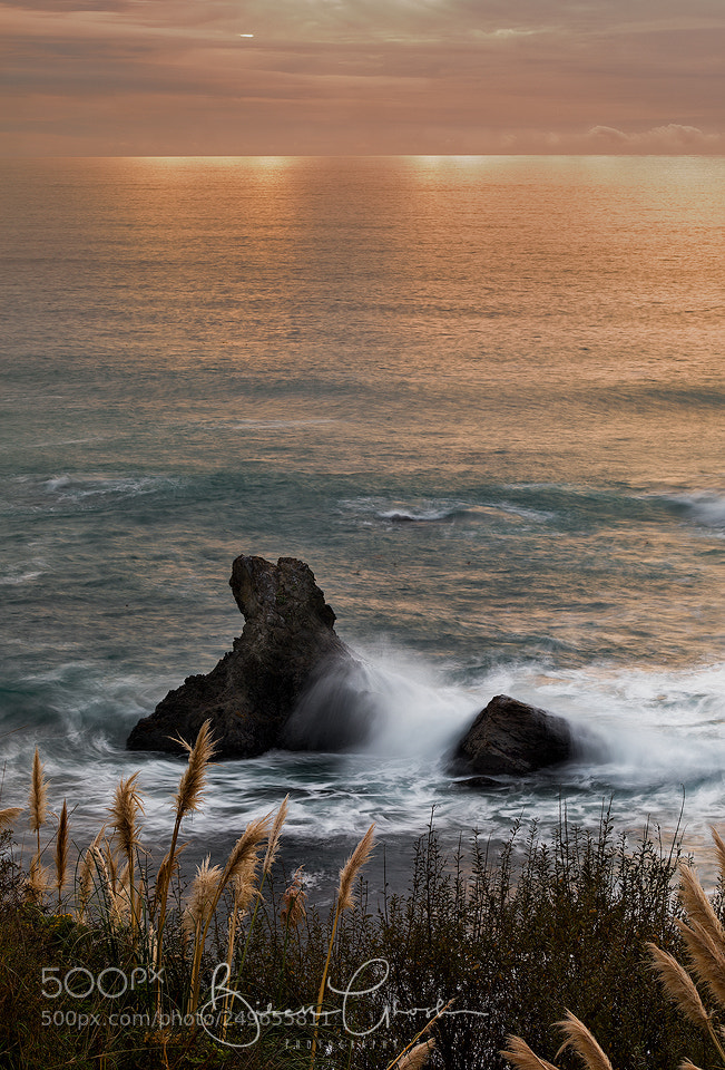Canon EOS 5D Mark IV sample photo. Yet another coastal sunset. photography