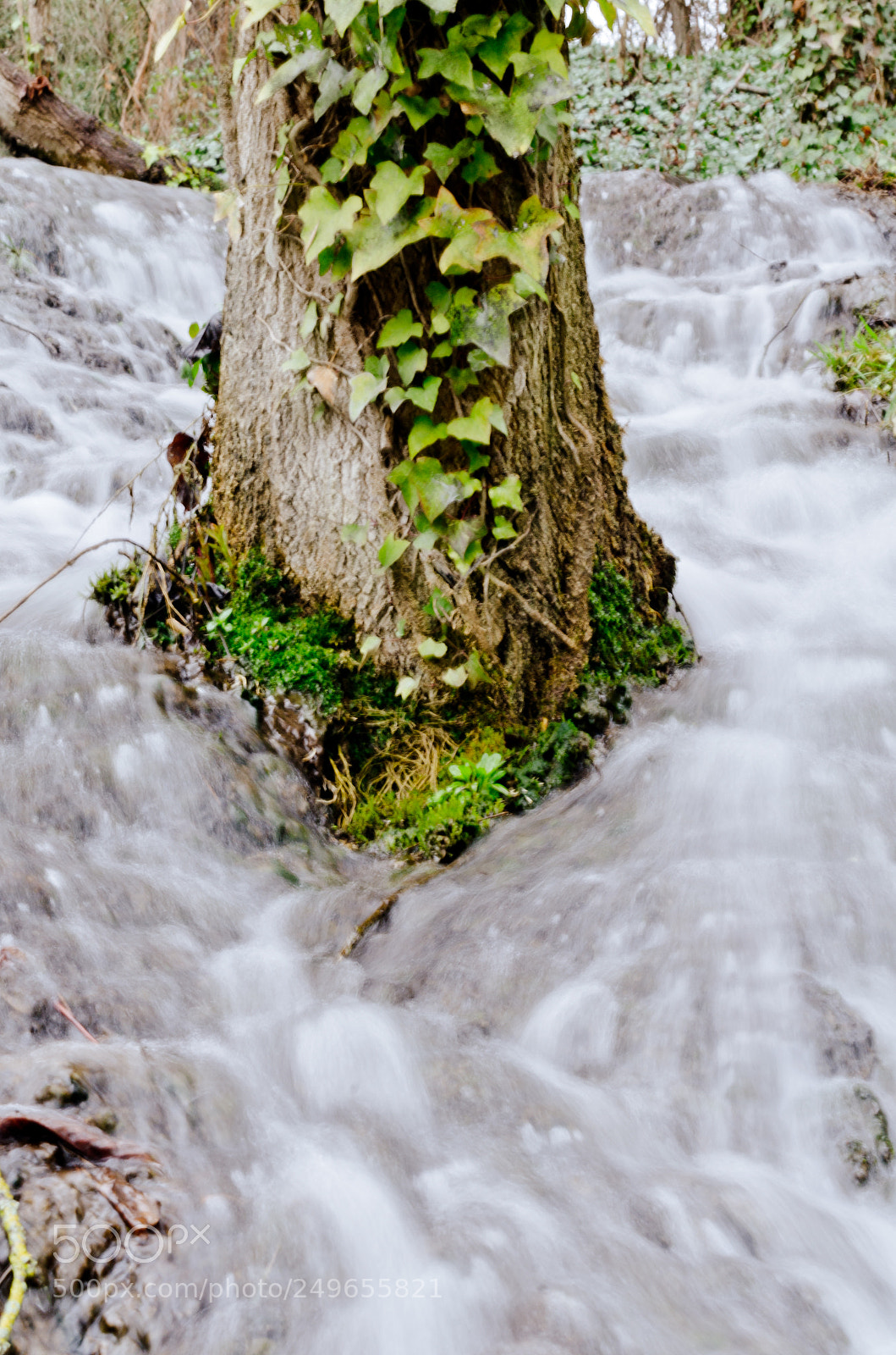 Nikon D7000 sample photo. Monasterio de piedra iii photography