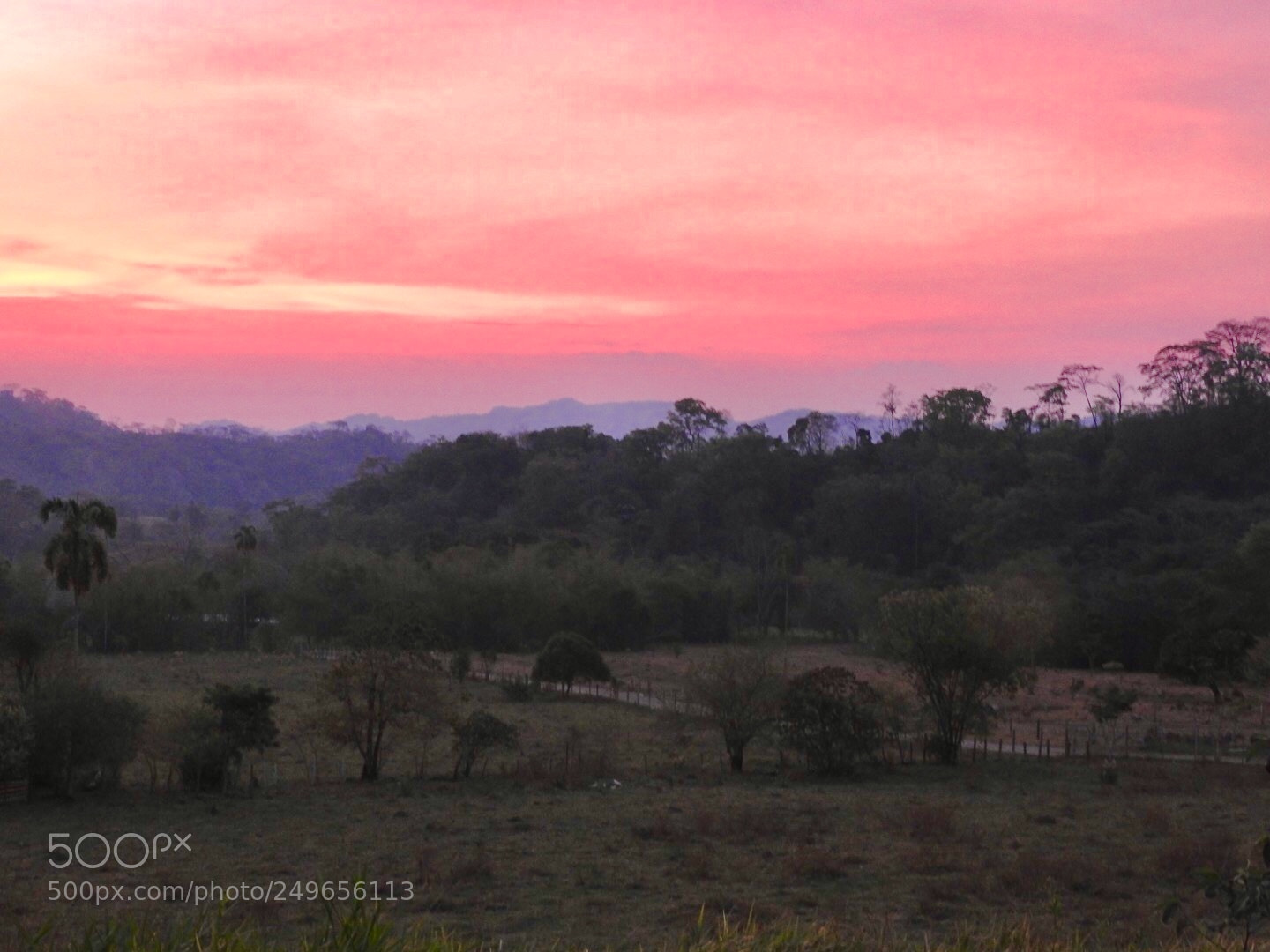 Nikon Coolpix P610 sample photo. Hur n 1. casanare photography