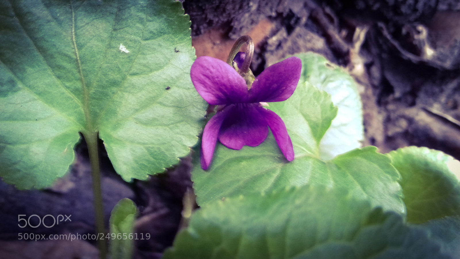 Samsung Galaxy J3(2016) sample photo. Untitled photography