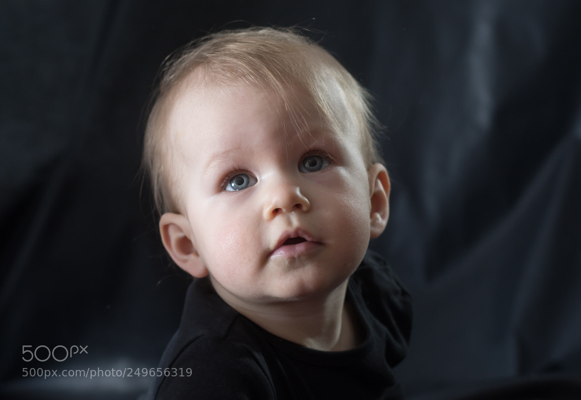 Nikon D7500 sample photo. Untitled photography