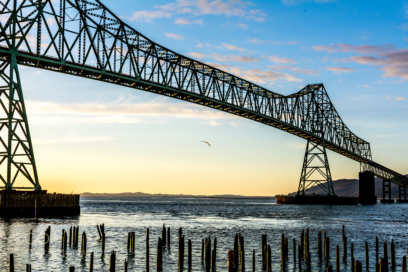 Nikon D7100 sample photo. Sunset flight photography