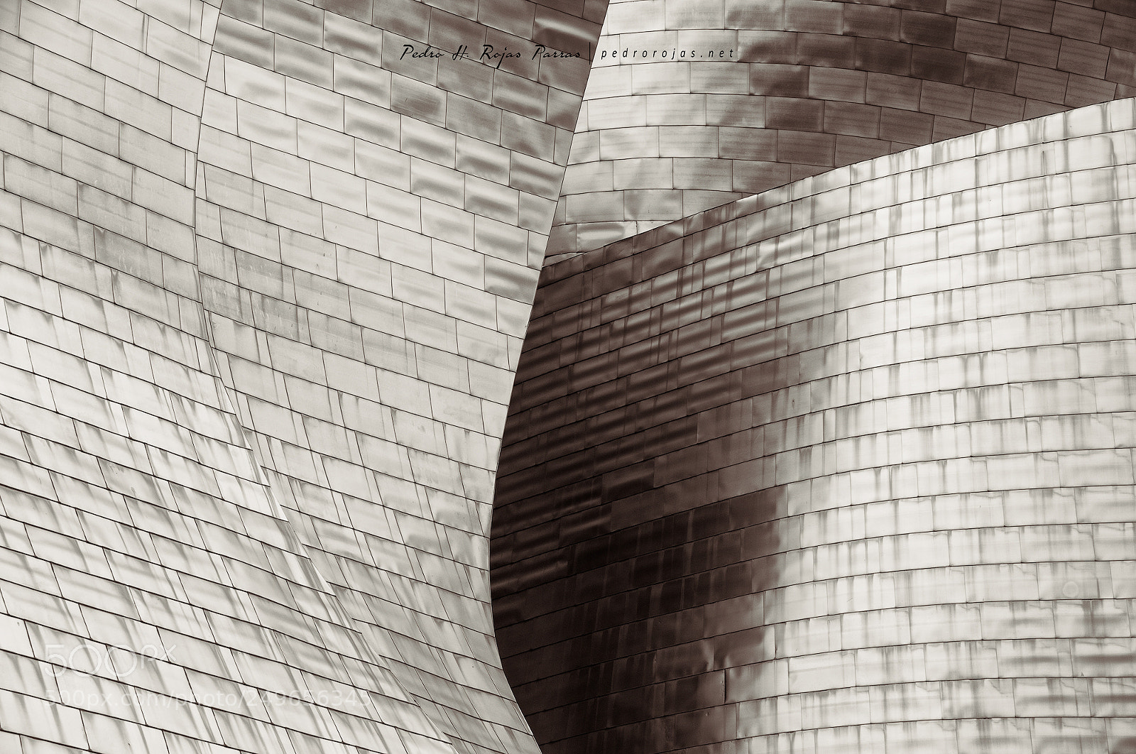 Nikon D300 sample photo. Guggenheim bilbao photography
