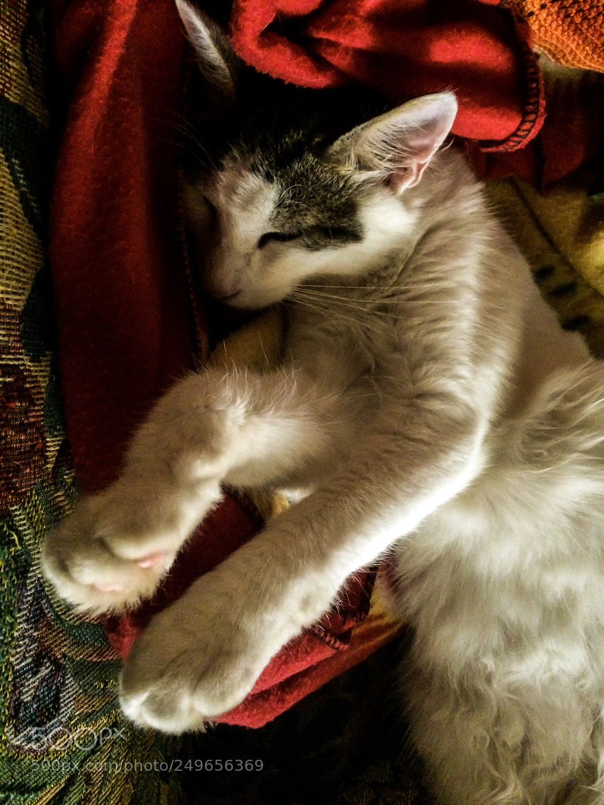 Apple iPhone 5s sample photo. Sleep photography