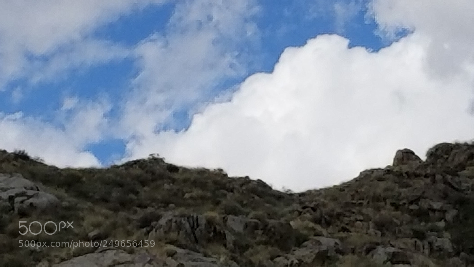 Samsung Galaxy S8+ sample photo. Looking up photography