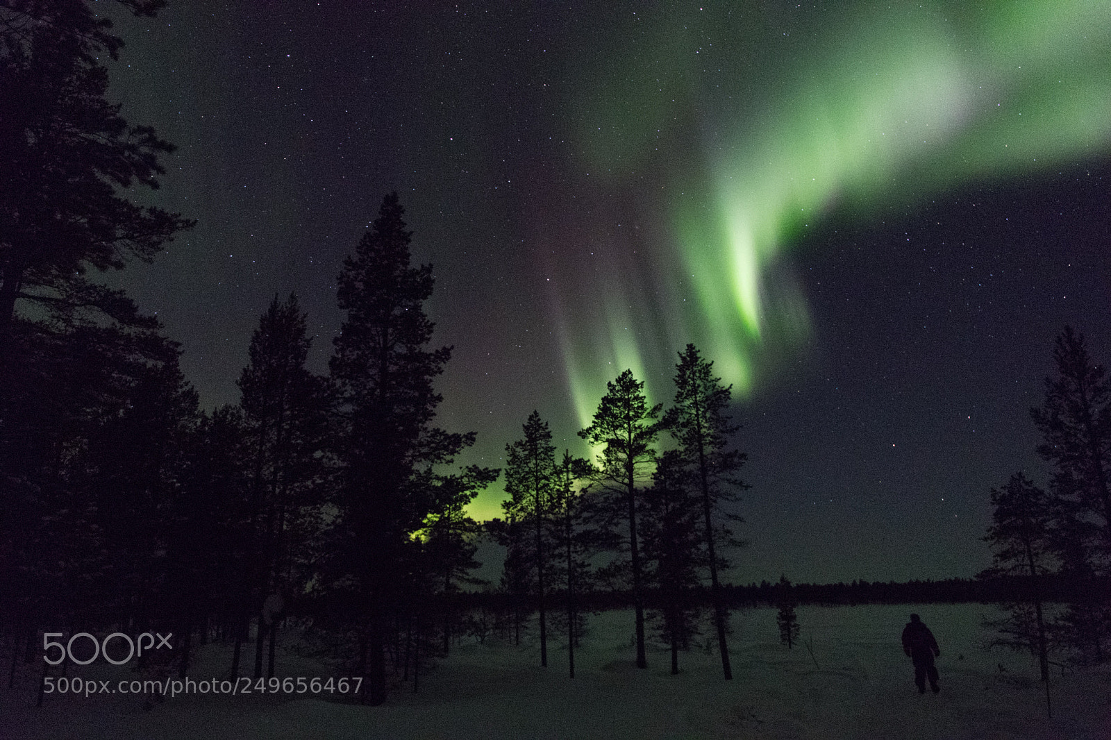 Canon EOS 80D sample photo. Northern lights photography