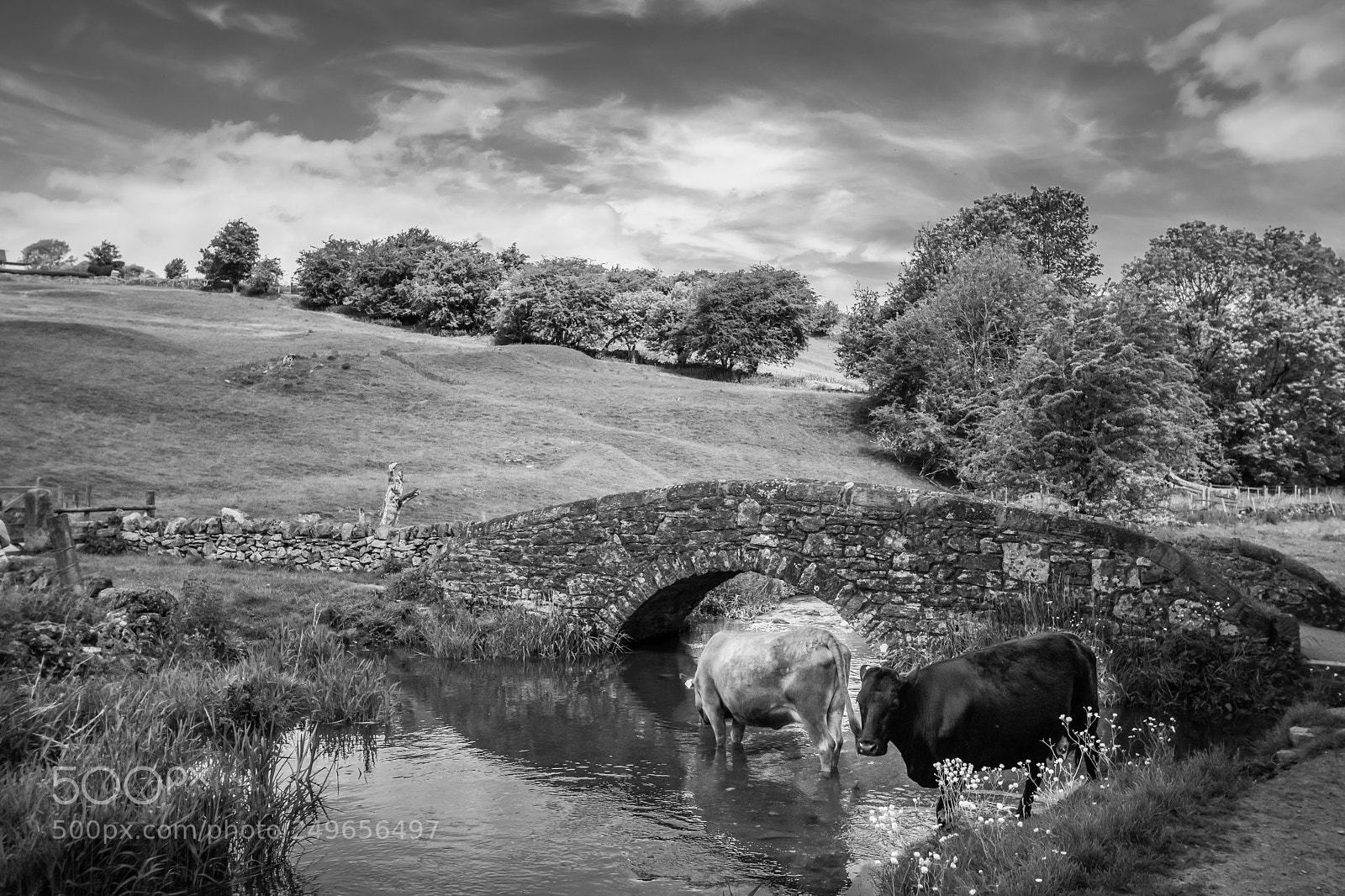 Canon EOS 80D sample photo. Drinking by the bridge photography