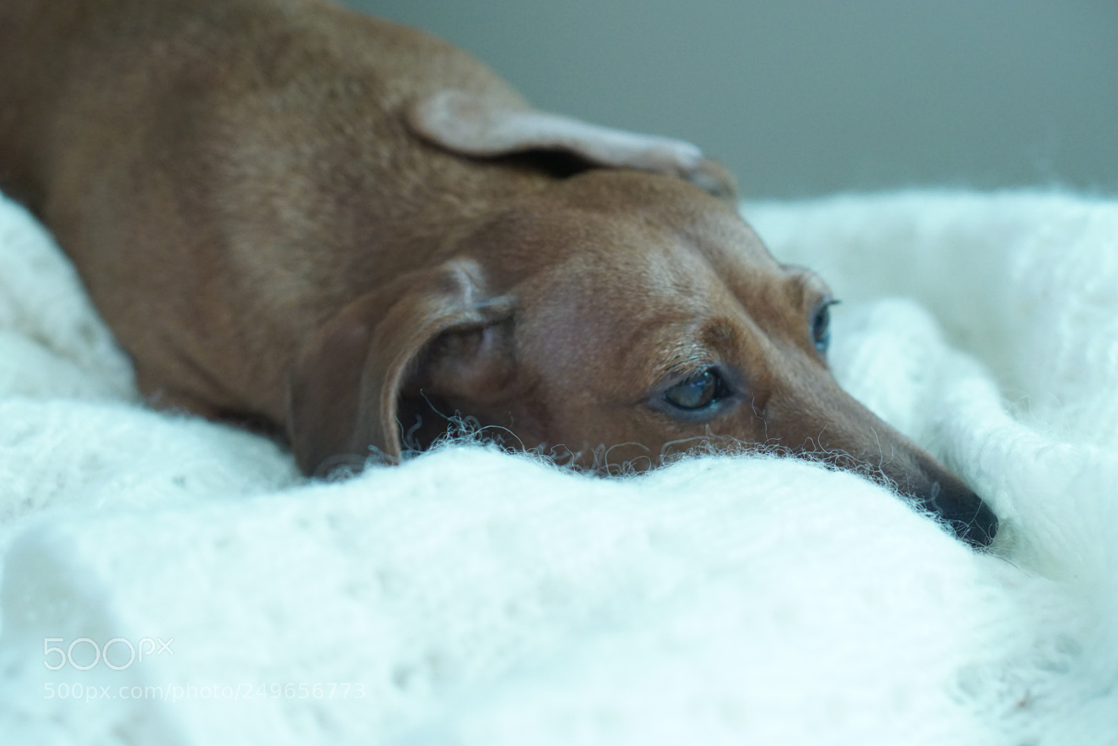 Sony a6000 sample photo. Dreams photography