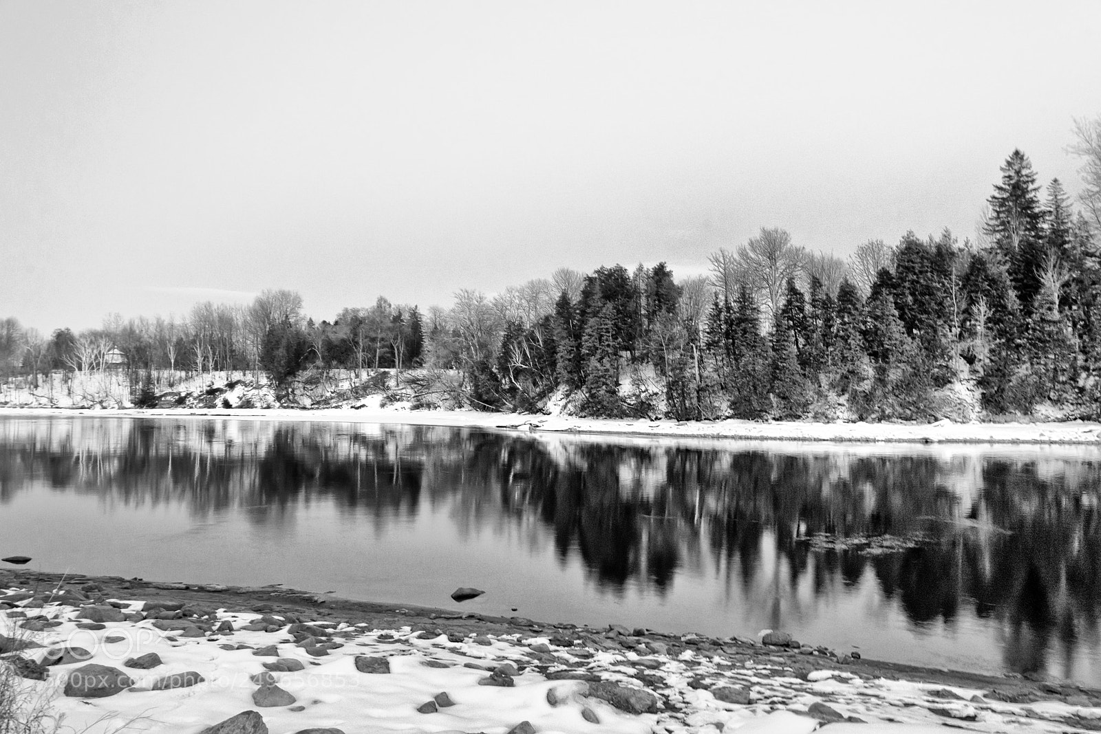 Nikon D610 sample photo. A spring river photography
