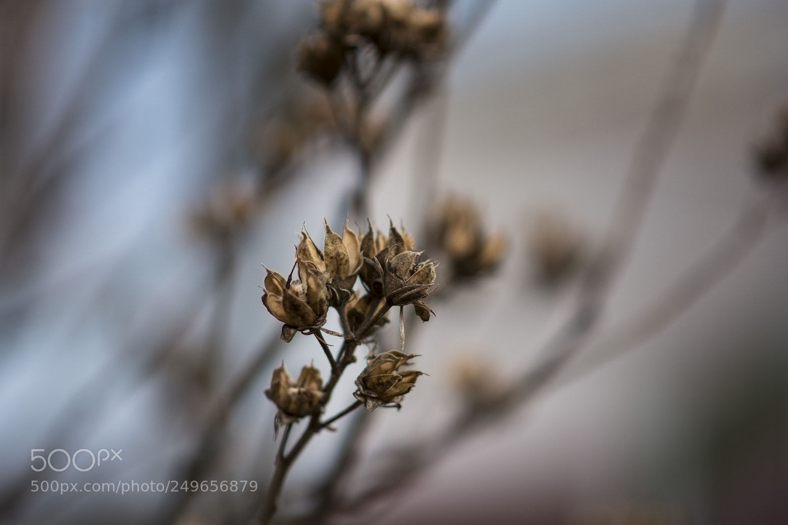 Nikon D7100 sample photo. Passing photography