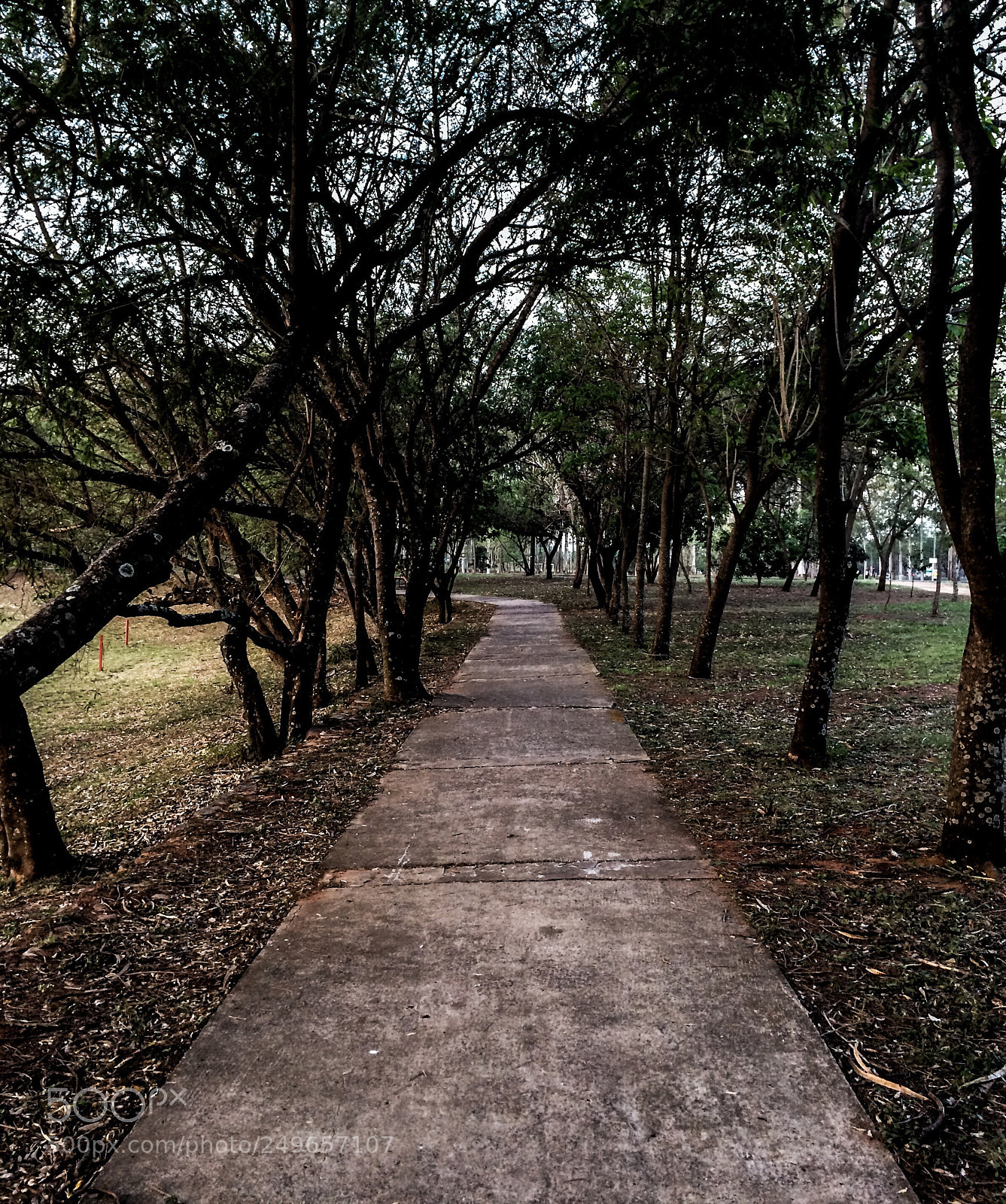 Apple iPhone 5s sample photo. Path photography