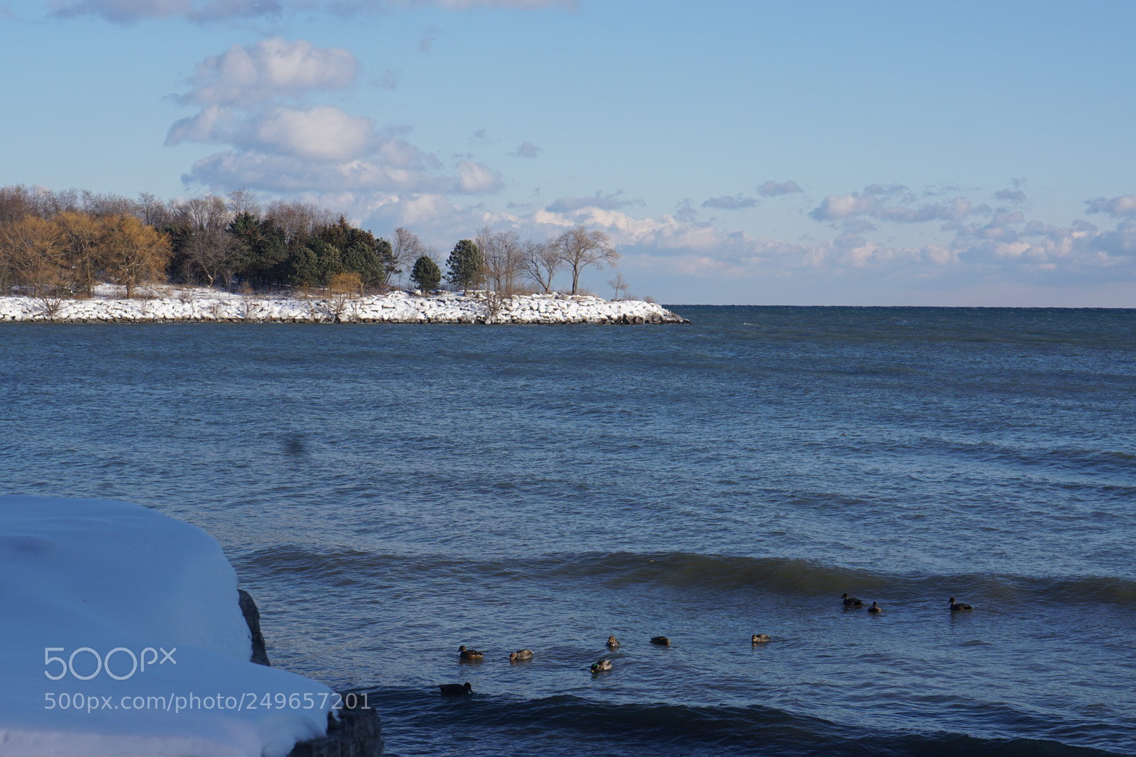 Sony a6000 sample photo. Winter day on the photography