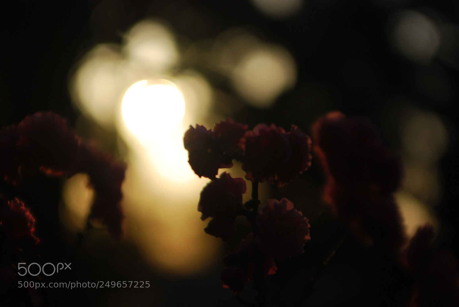 Nikon D80 sample photo. Shadow /  陰
 photography