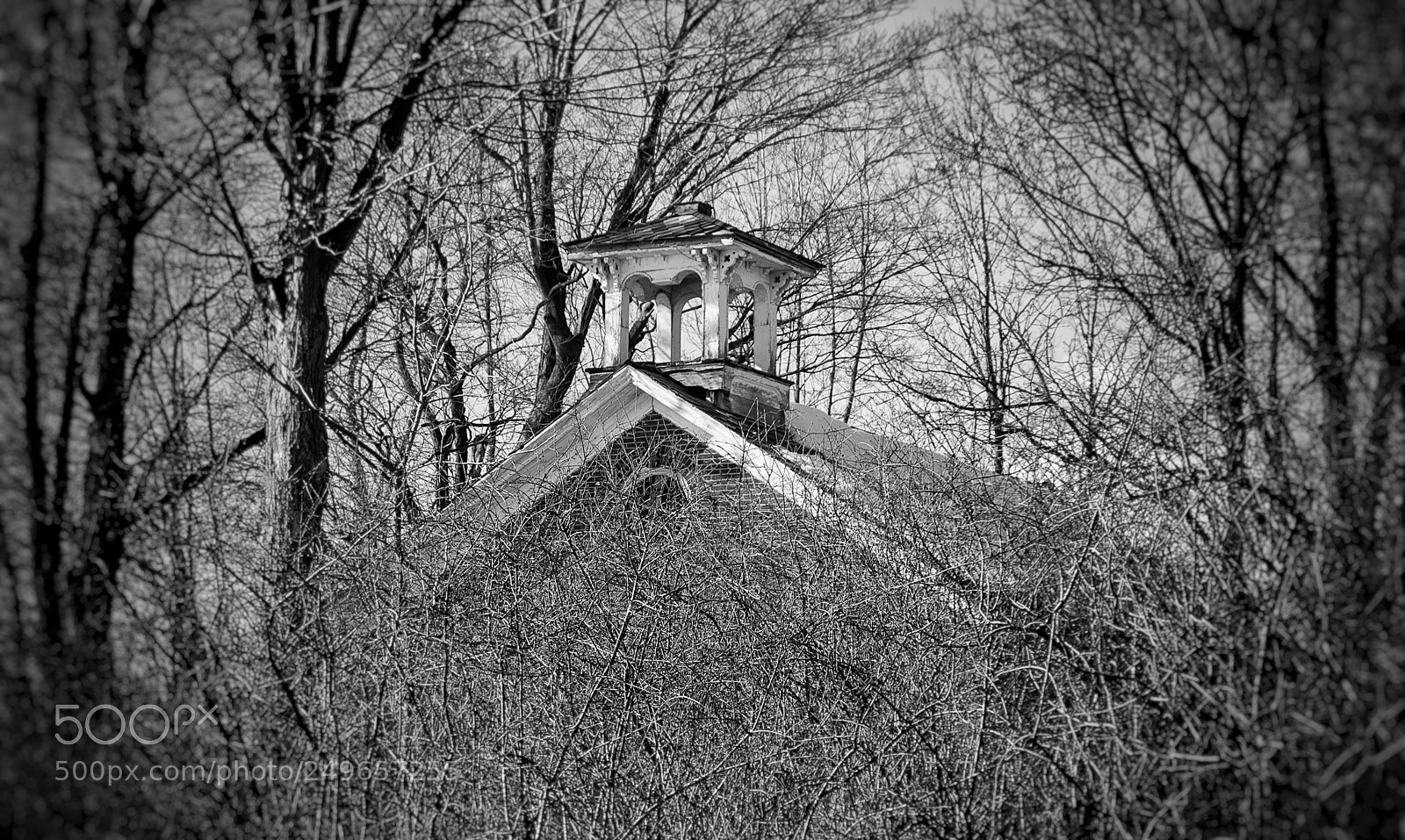 Nikon D40 sample photo. Hidden from view photography