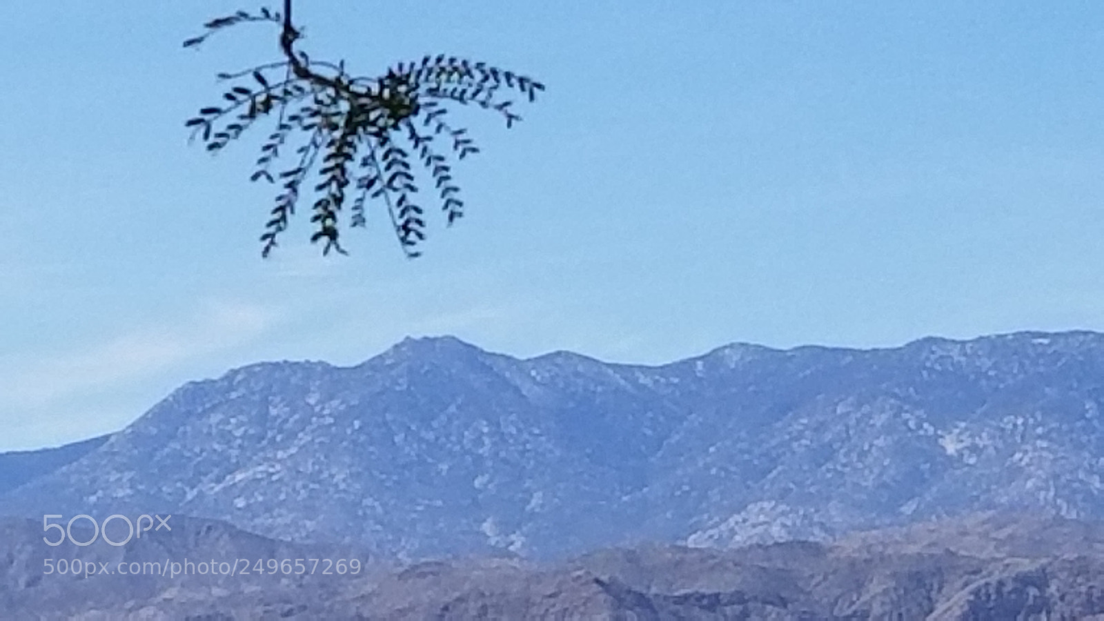 Samsung Galaxy S8+ sample photo. Nature photo bomb photography