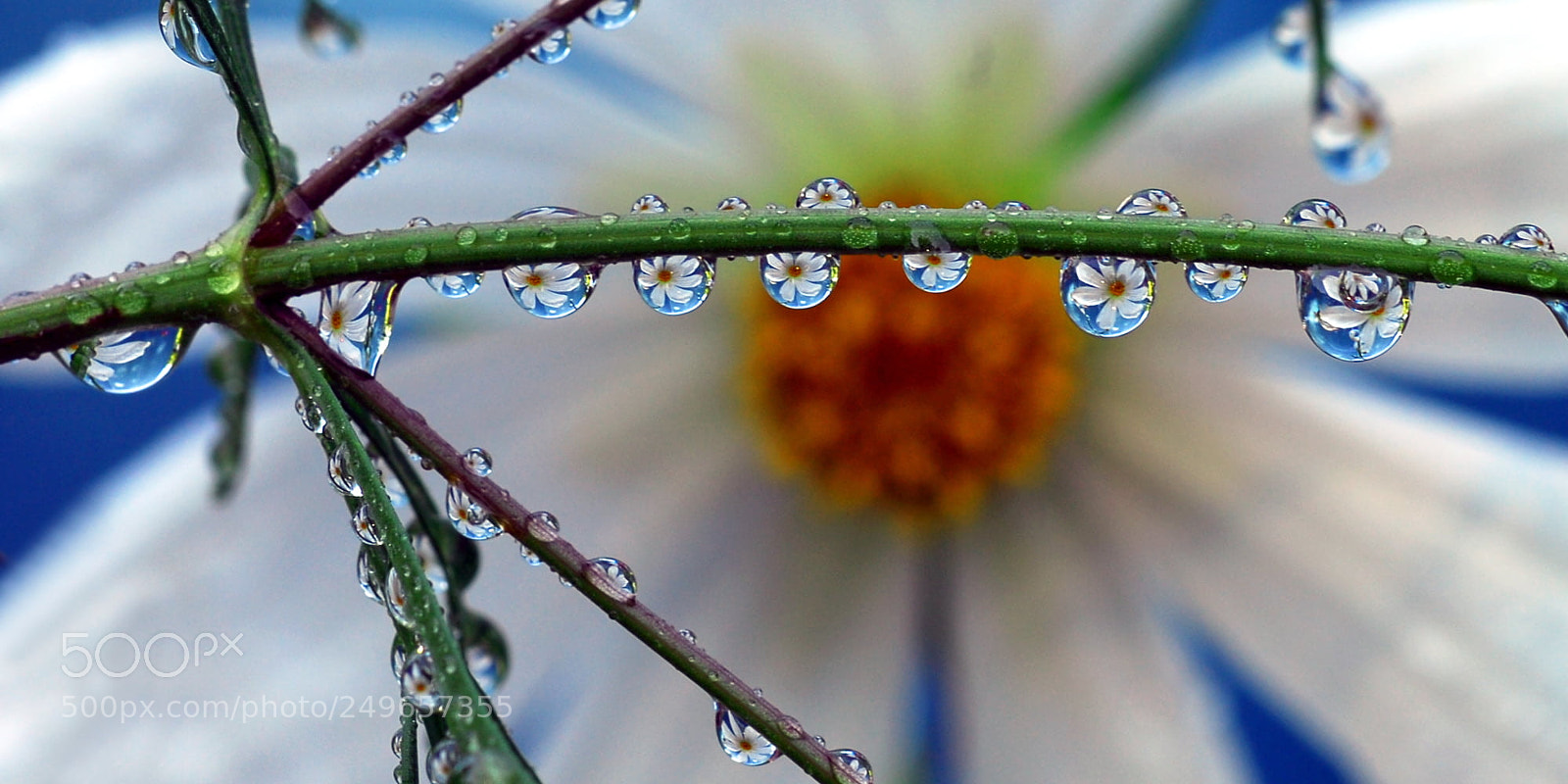 Nikon D200 sample photo. Untitled photography