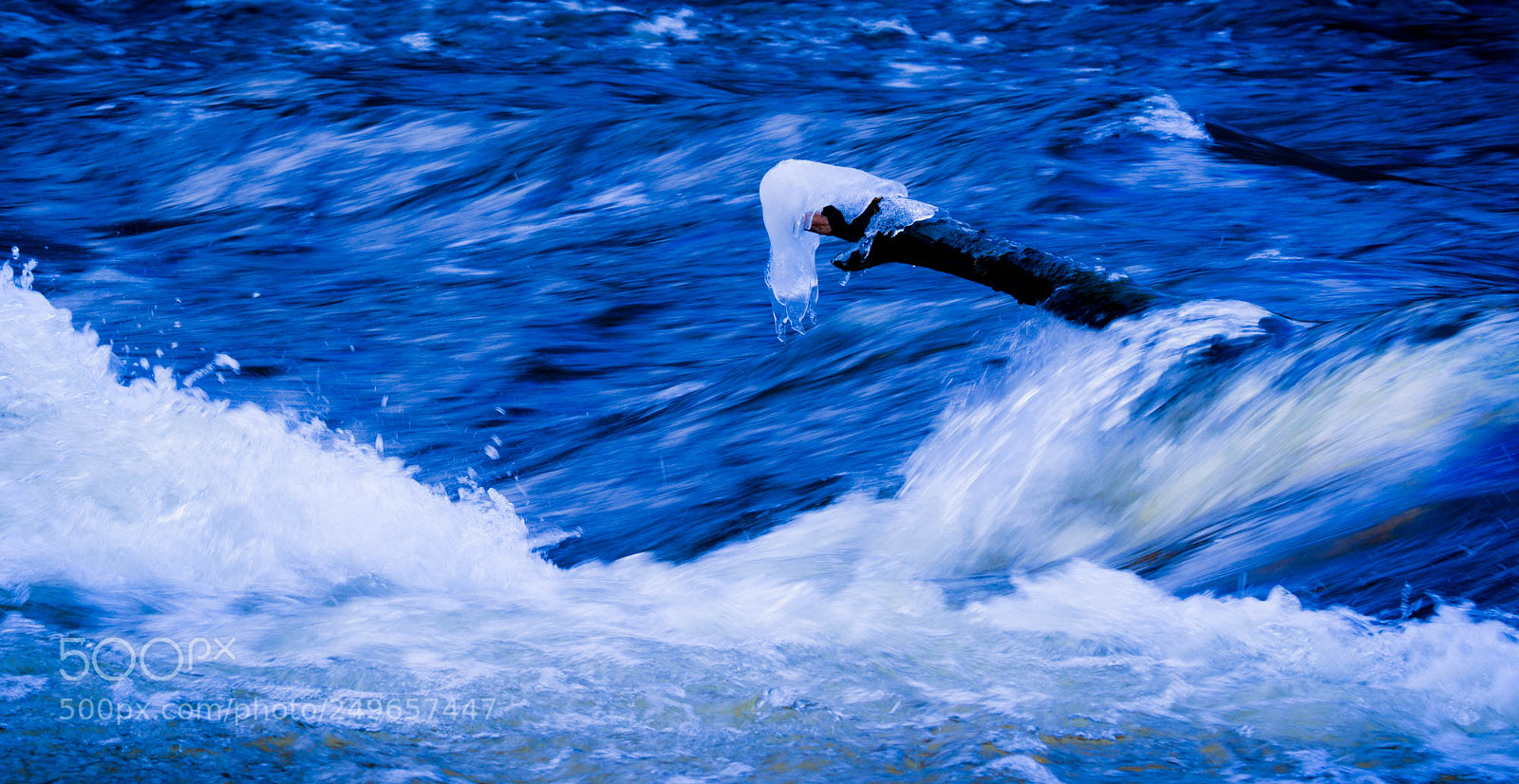 Nikon D5200 sample photo. Standing still, fast. photography